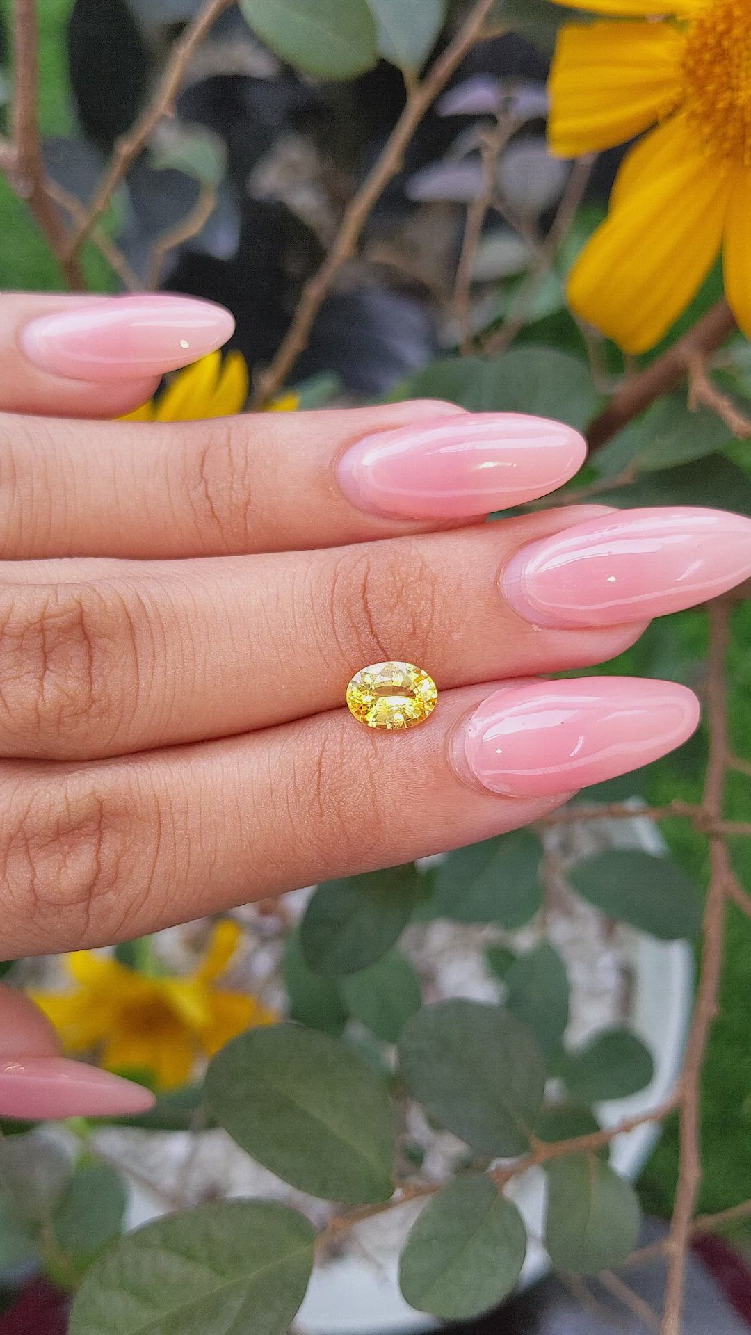 1.47 Ct. Yellow Sapphire from Ceylon (Sri Lanka) Size Video