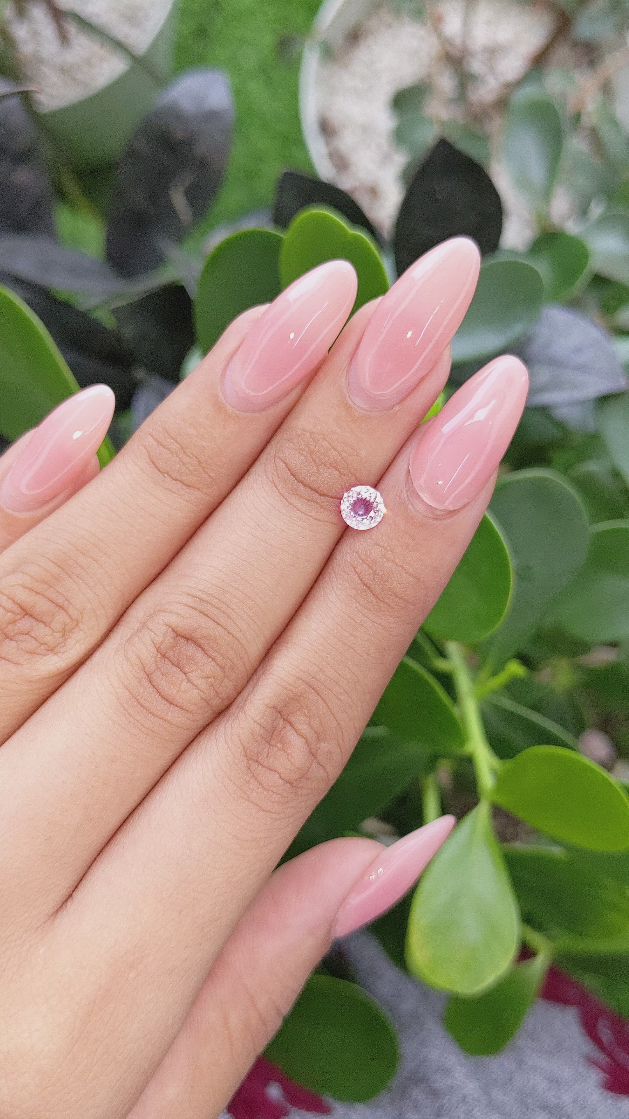 0.60 Ct. Pink Sapphire from Ceylon (Sri Lanka) Size Video