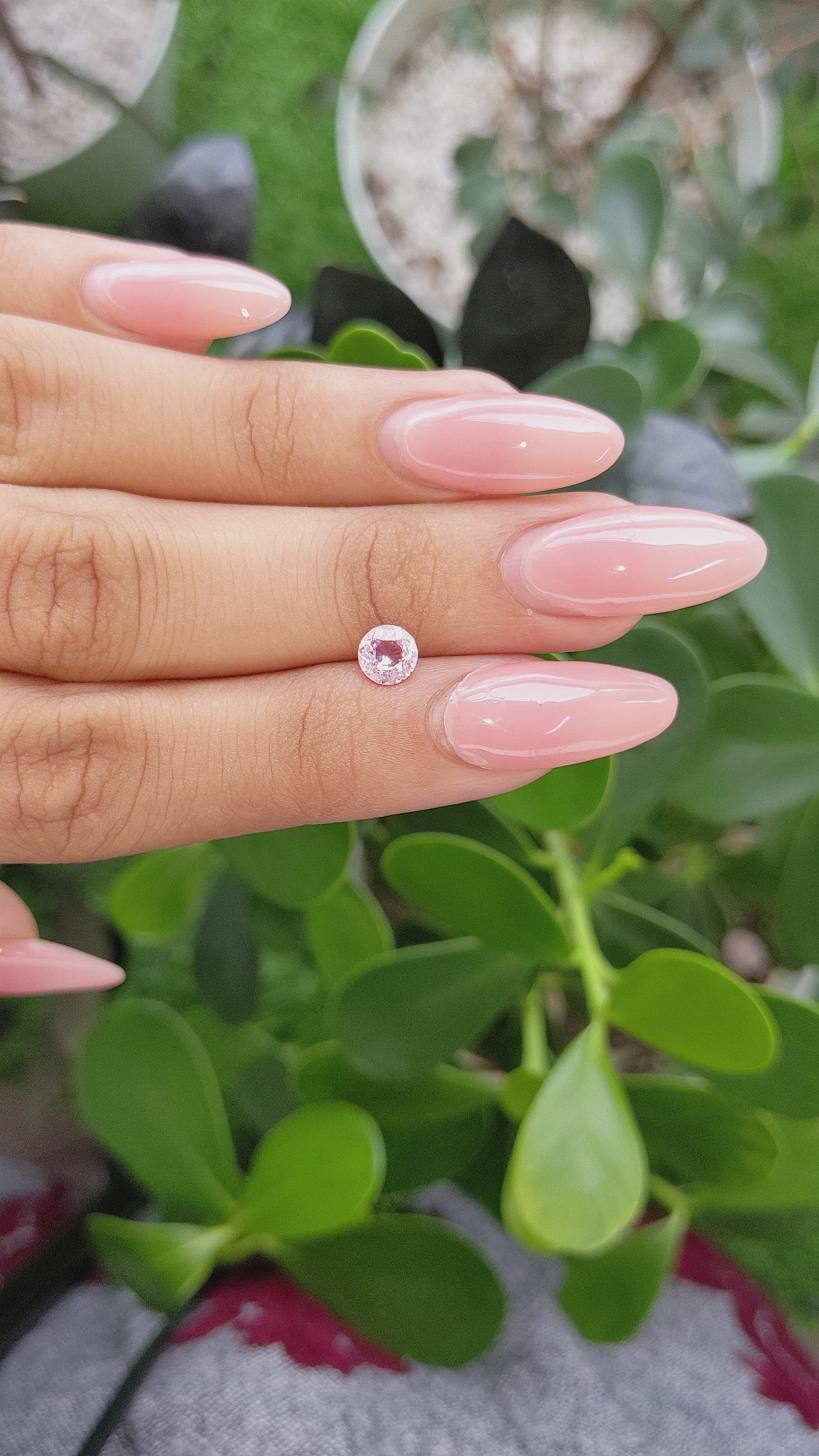 0.60 Ct. Pink Sapphire from Ceylon (Sri Lanka) Size Video