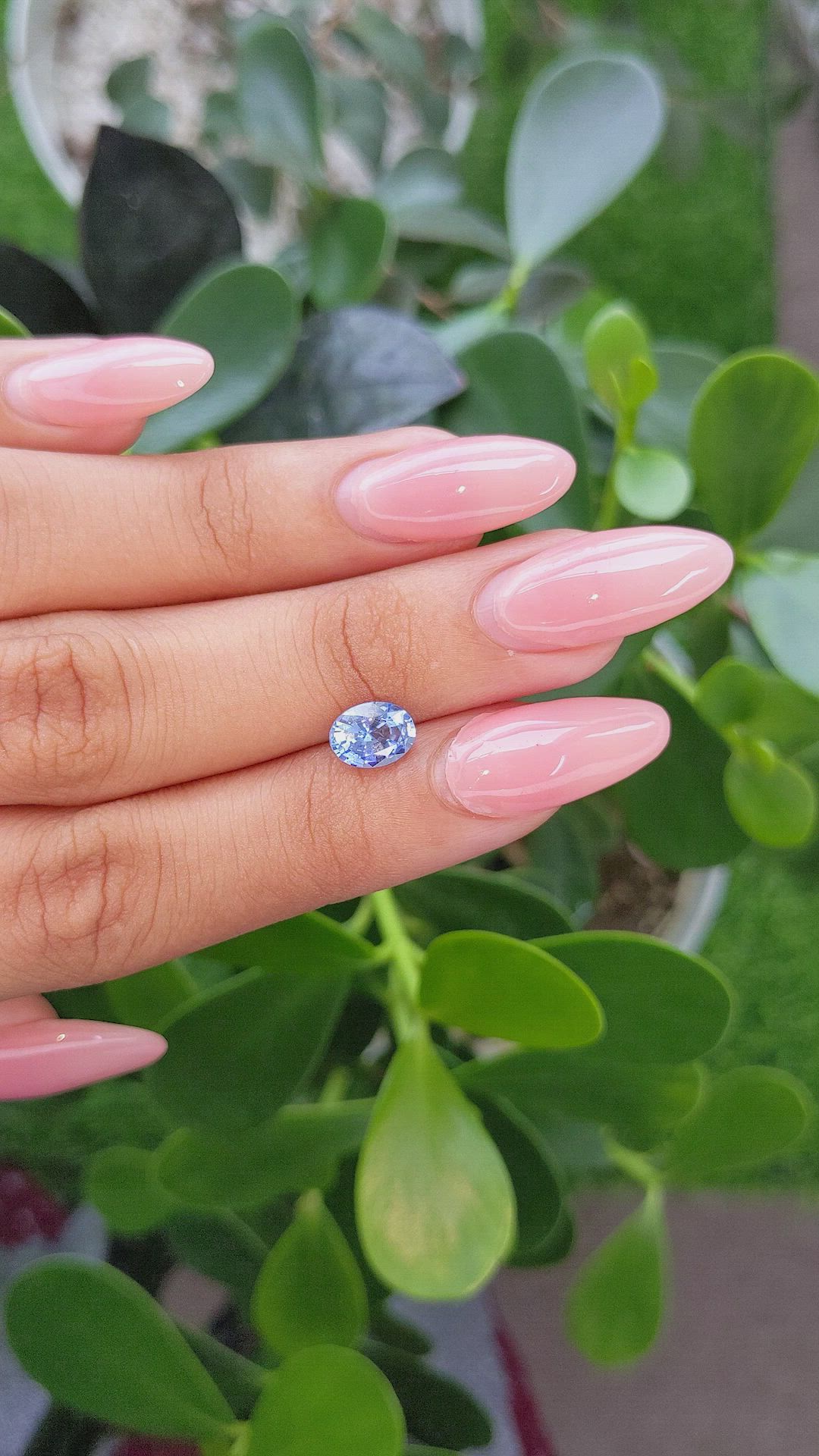 1.62 Ct. Blue Sapphire from Ceylon (Sri Lanka) Size Video