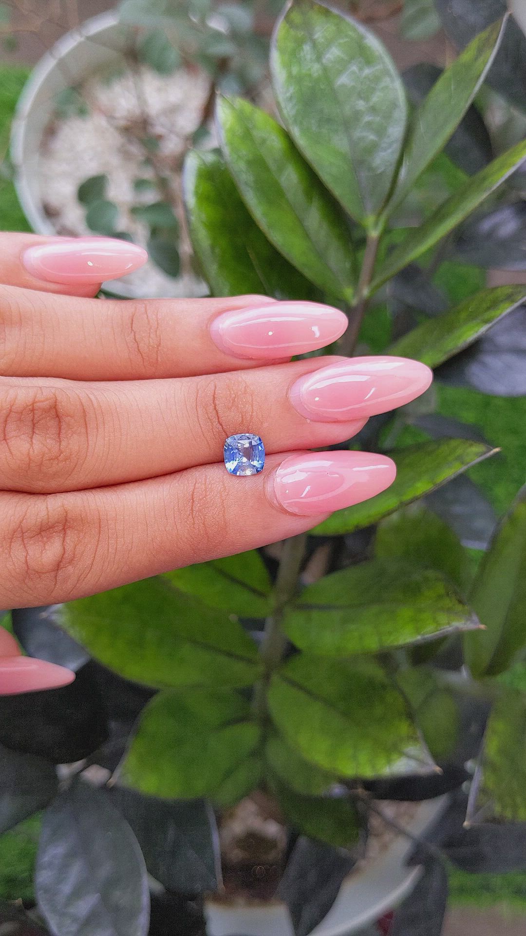 1.27 Ct. Blue Sapphire from Ceylon (Sri Lanka) Size Video