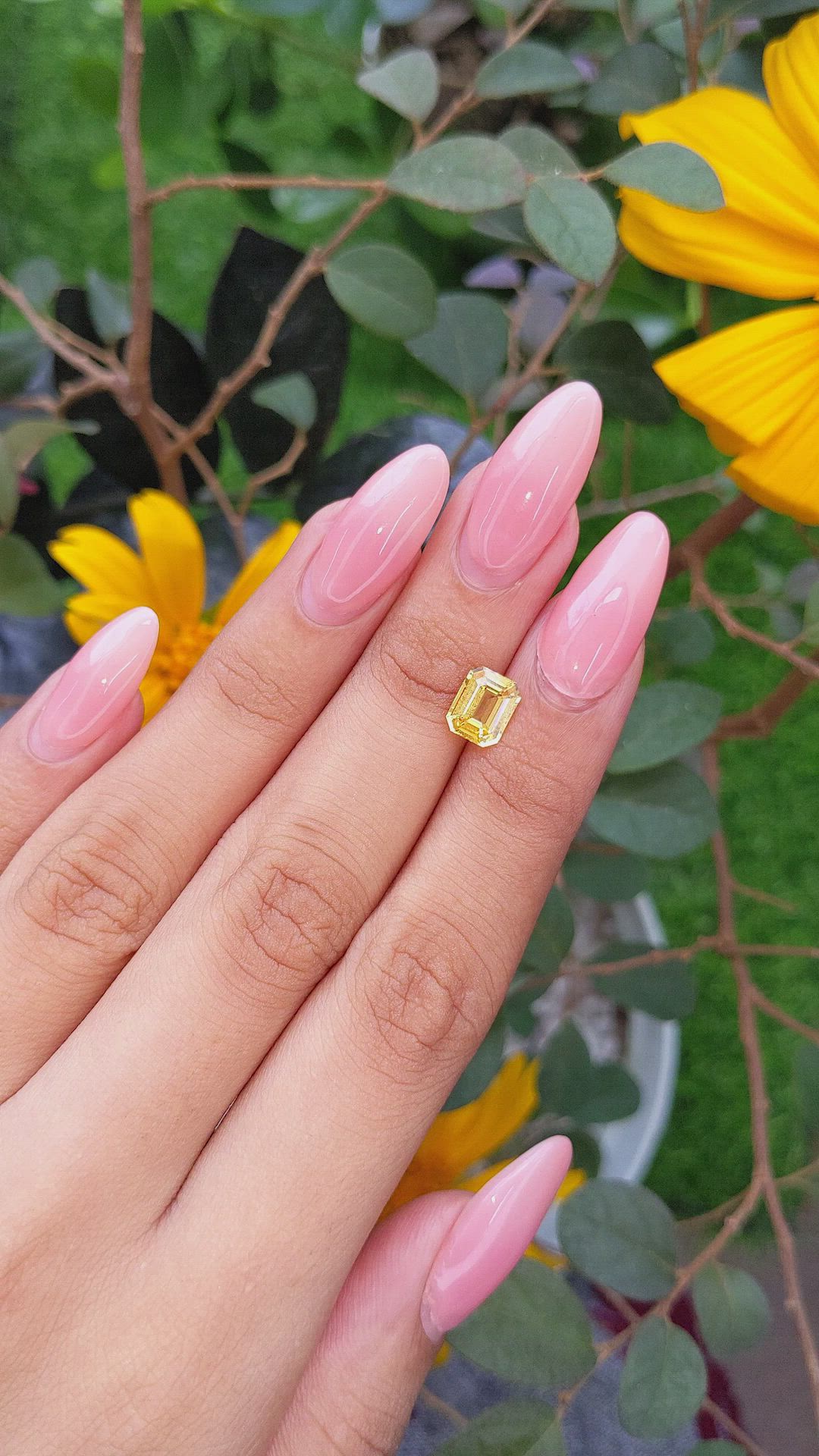 1.88 Ct. Yellow Sapphire from Ceylon (Sri Lanka) Size Video