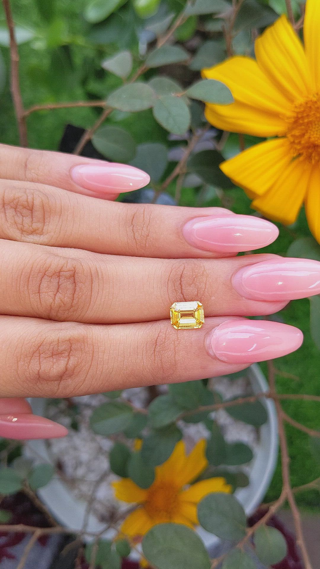 1.88 Ct. Yellow Sapphire from Ceylon (Sri Lanka) Size Video