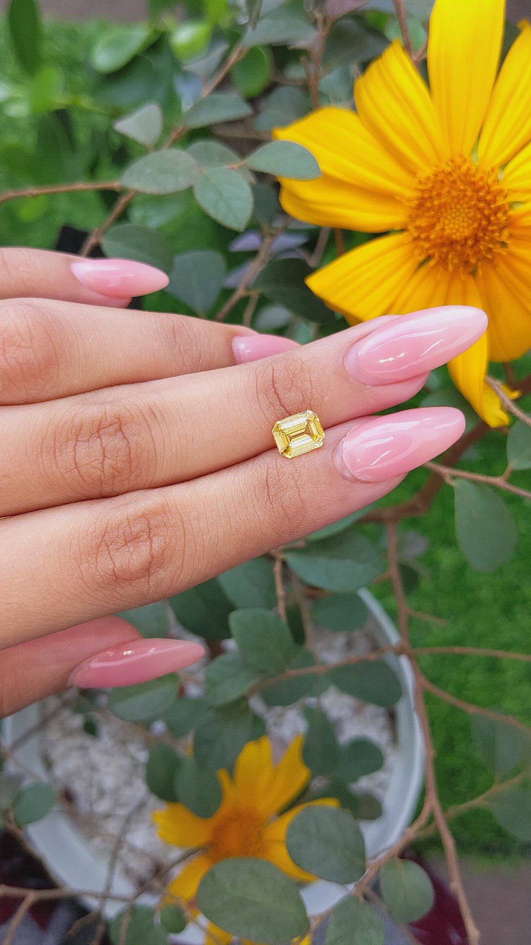 1.88 Ct. Yellow Sapphire from Ceylon (Sri Lanka) Size Video