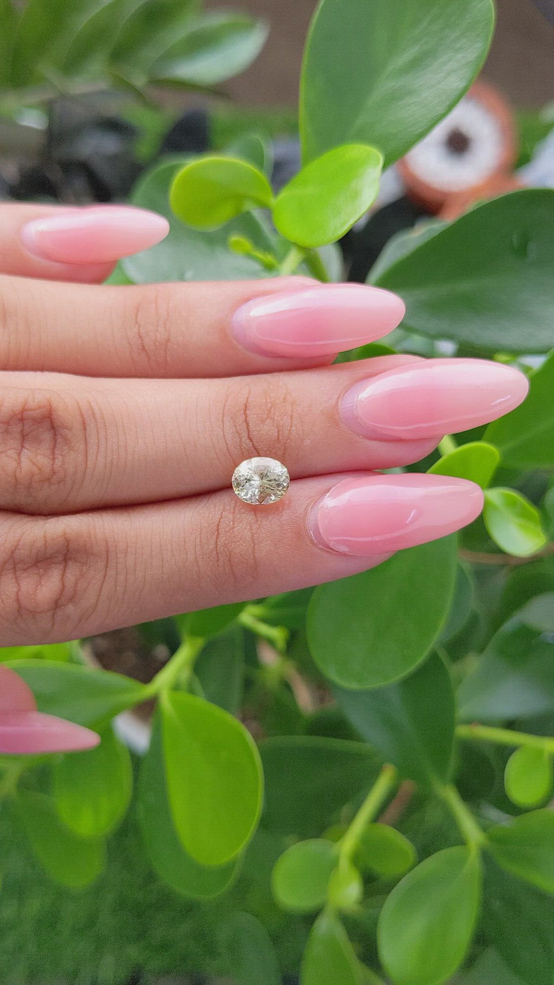 1.67 Ct. Yellow Sapphire from Ceylon (Sri Lanka) Size Video