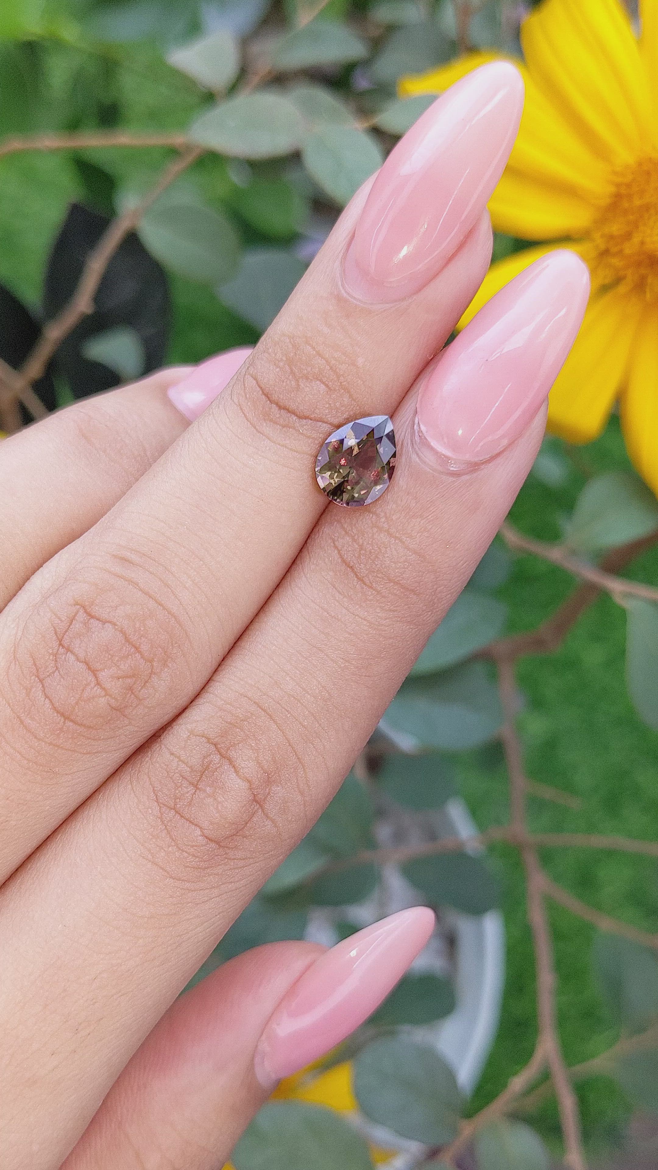 2.05 Ct. Greenish Brown Sapphire from Ceylon (Sri Lanka) Size Video