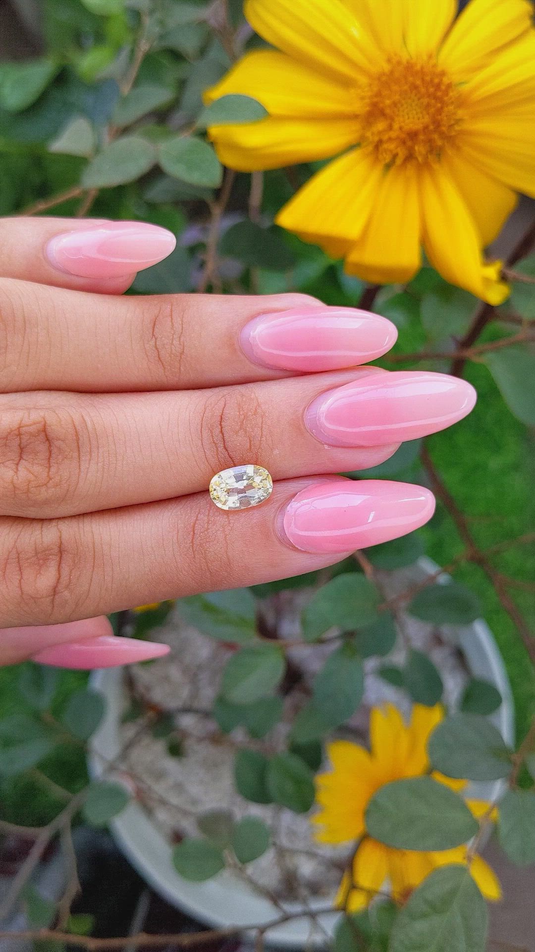 2.19 Ct. Yellow Sapphire from Ceylon (Sri Lanka) Size Video