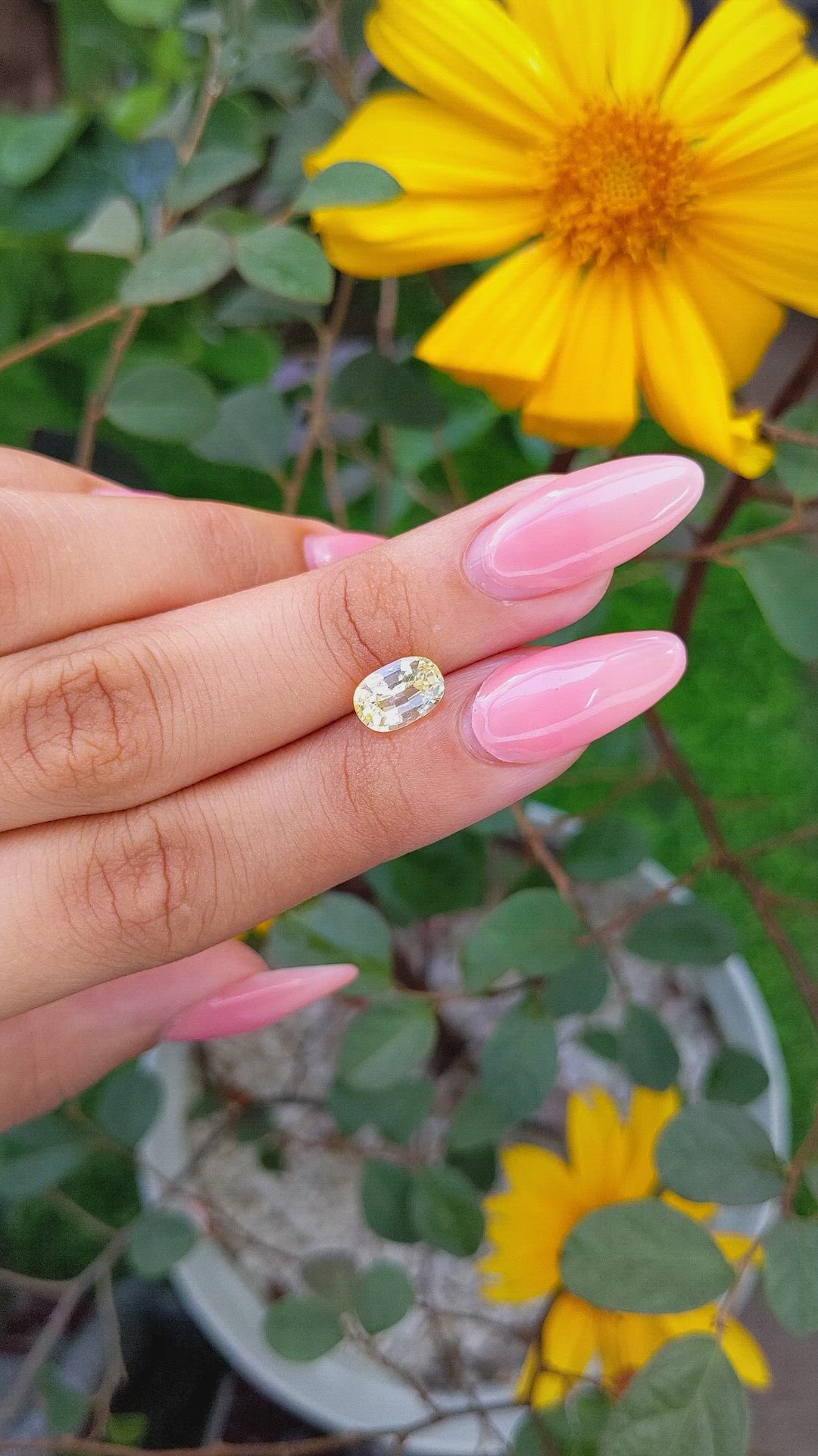 2.19 Ct. Yellow Sapphire from Ceylon (Sri Lanka) Size Video