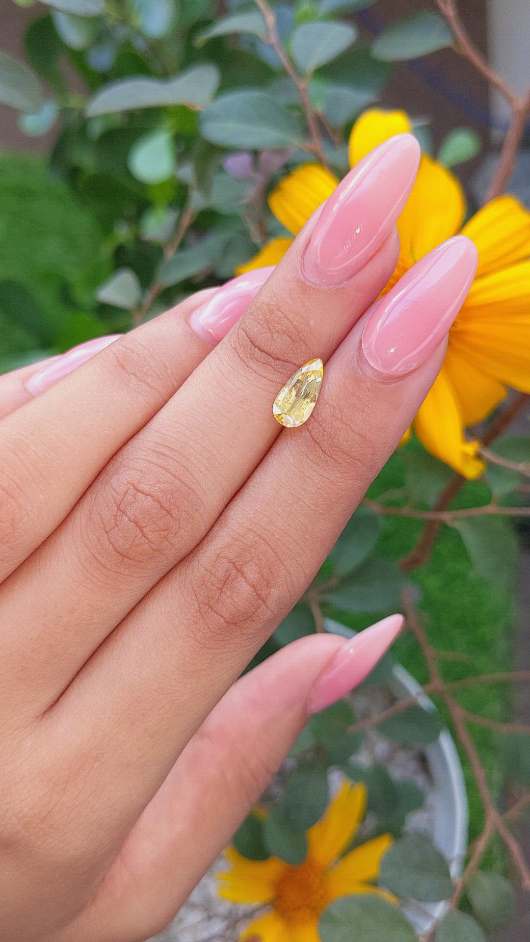 1.48 Ct. Yellow Sapphire from Ceylon (Sri Lanka) Size Video