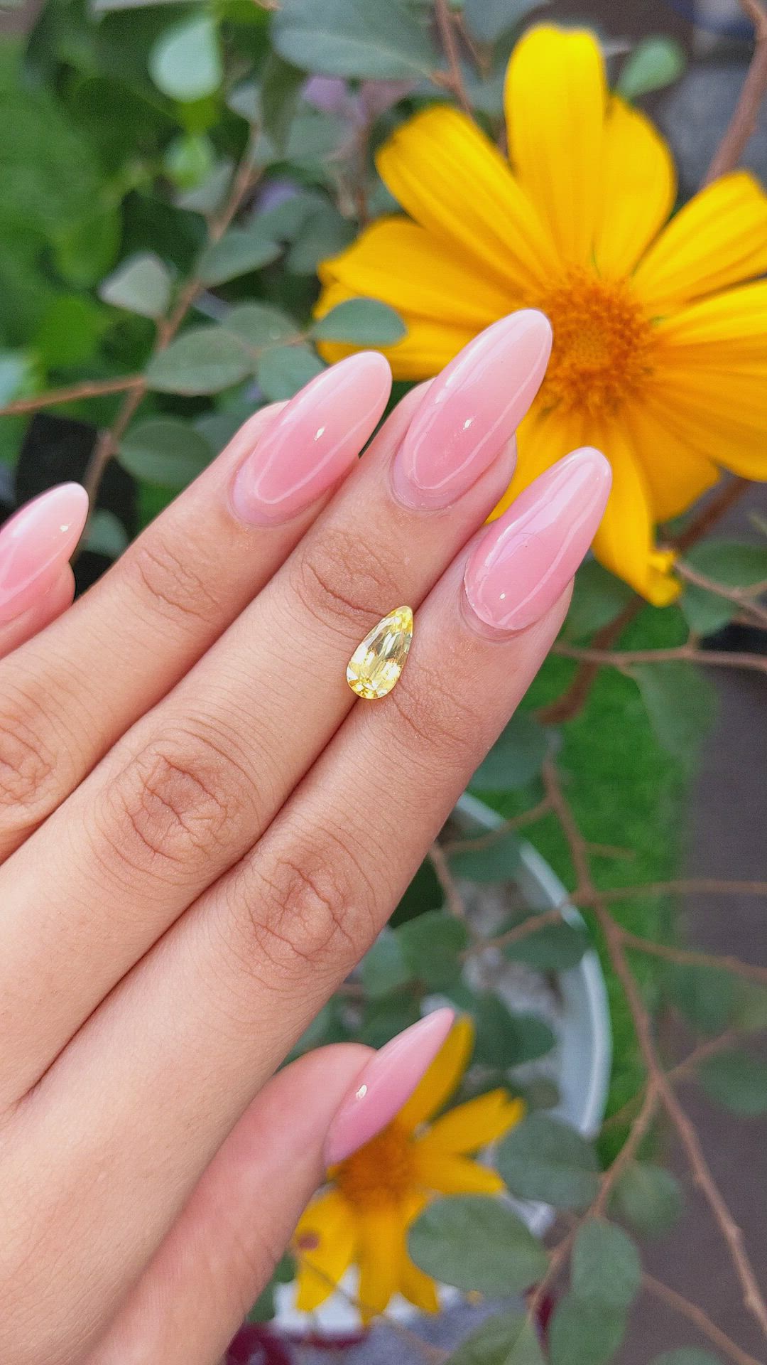 1.48 Ct. Yellow Sapphire from Ceylon (Sri Lanka) Size Video
