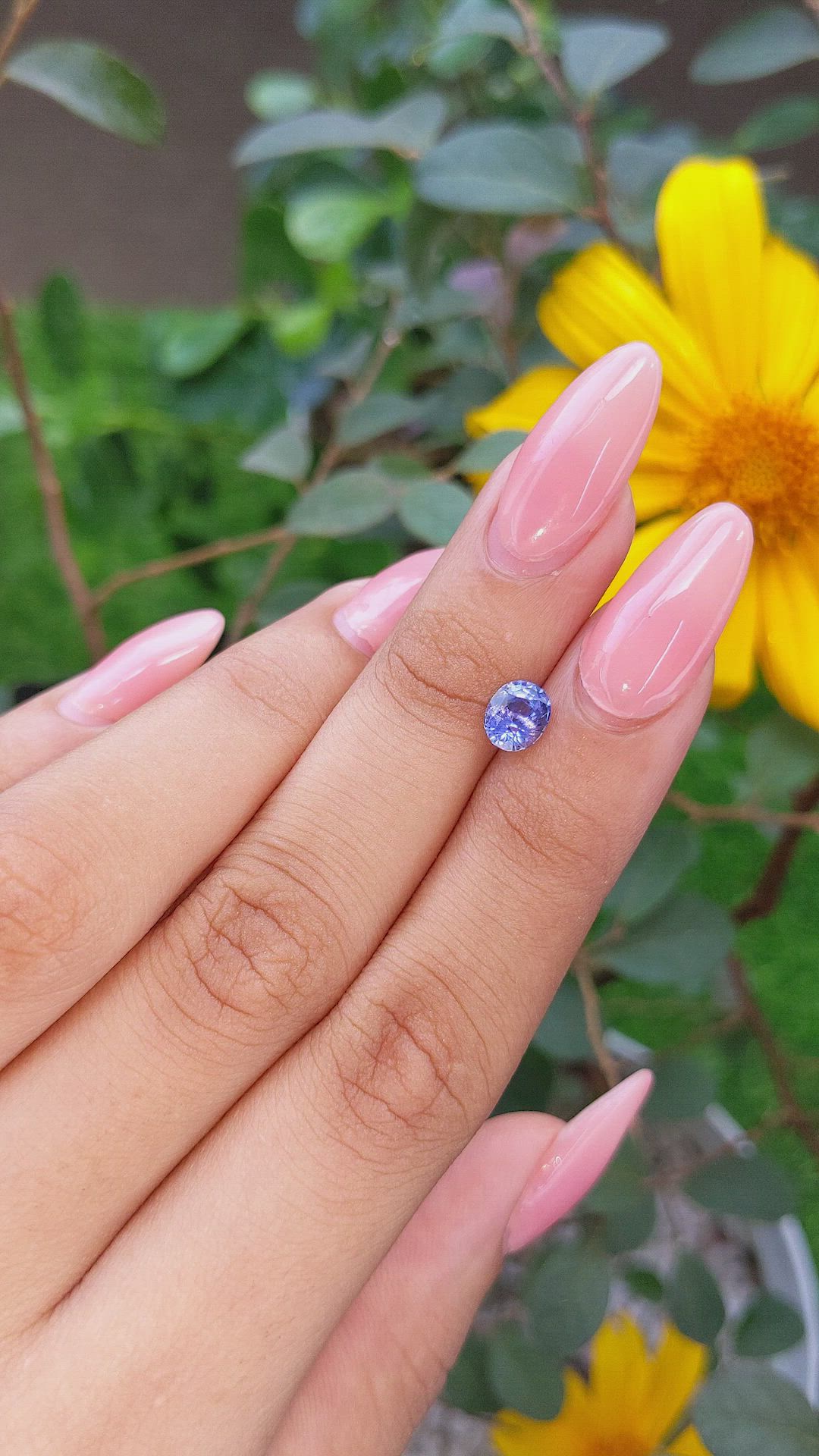 1.15 Ct. Blue Sapphire from Ceylon (Sri Lanka) Size Video