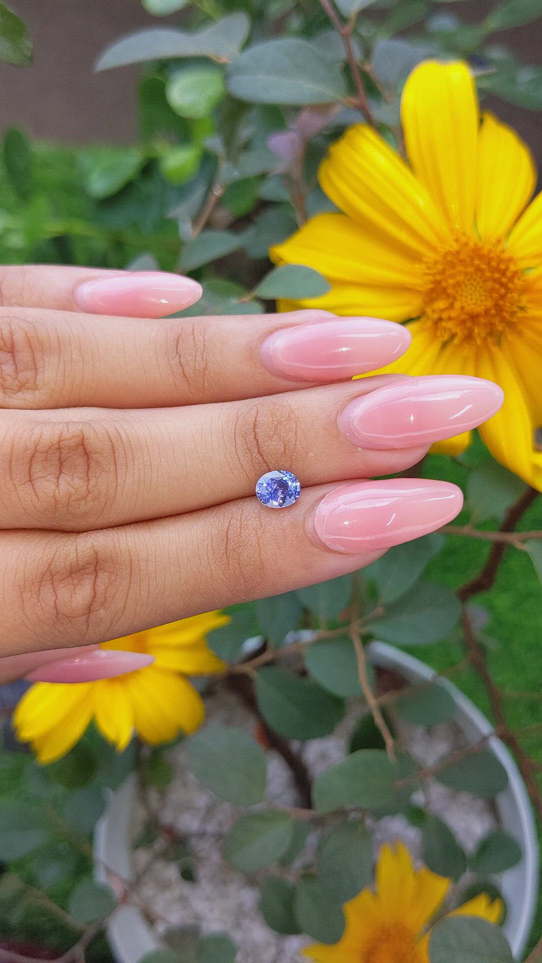 1.15 Ct. Blue Sapphire from Ceylon (Sri Lanka) Size Video