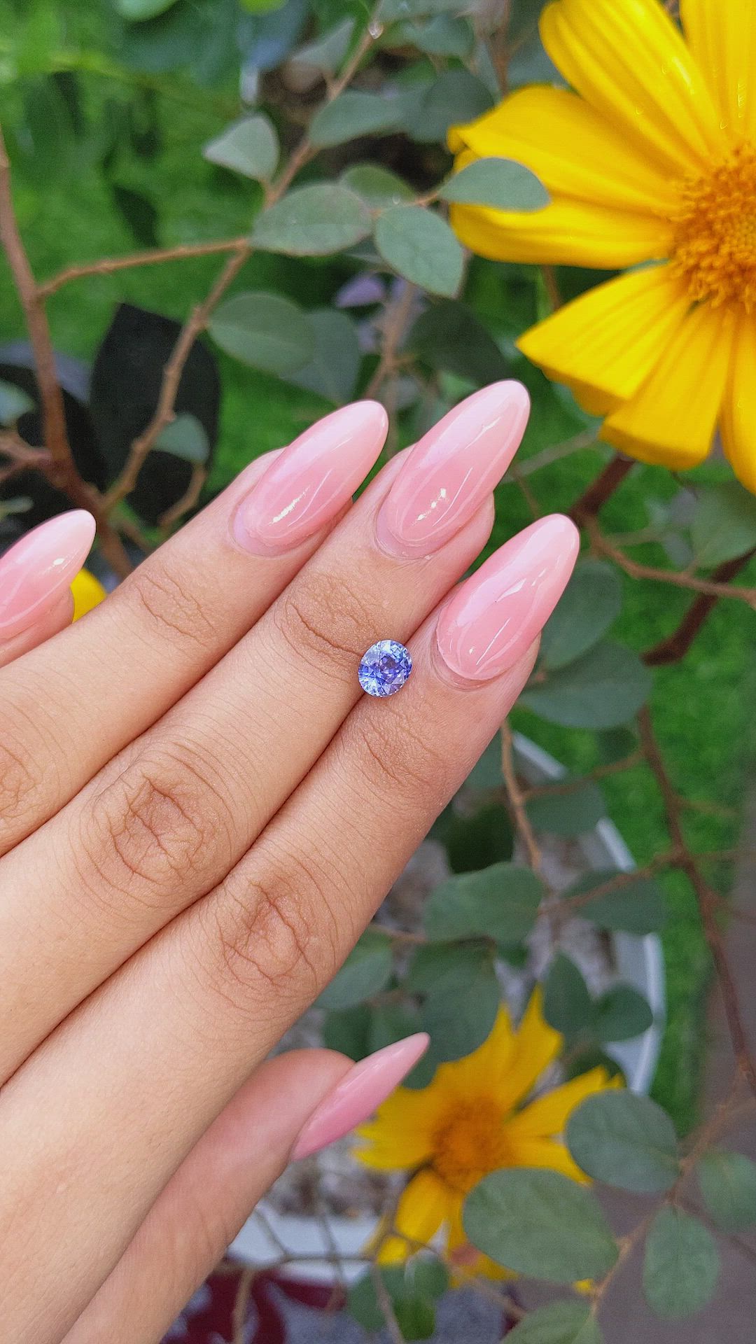 1.15 Ct. Blue Sapphire from Ceylon (Sri Lanka) Size Video