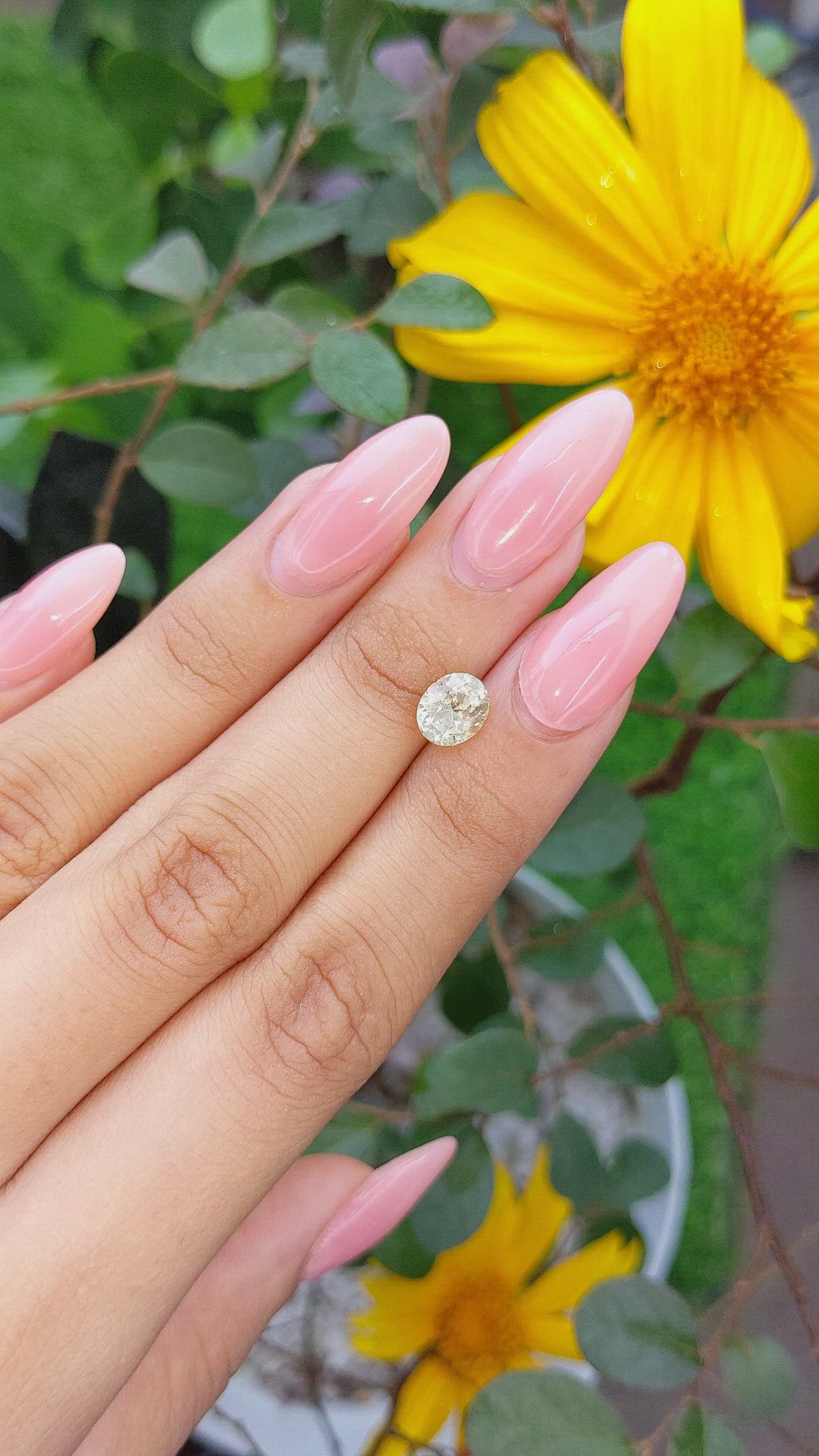 1.90 Ct. Yellow Sapphire from Ceylon (Sri Lanka) Size Video