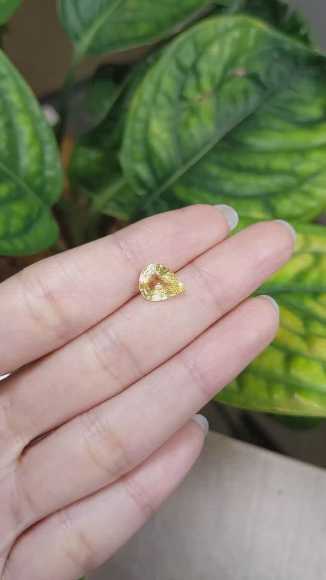 2.37 Ct. Yellow Sapphire from Madagascar Size Video