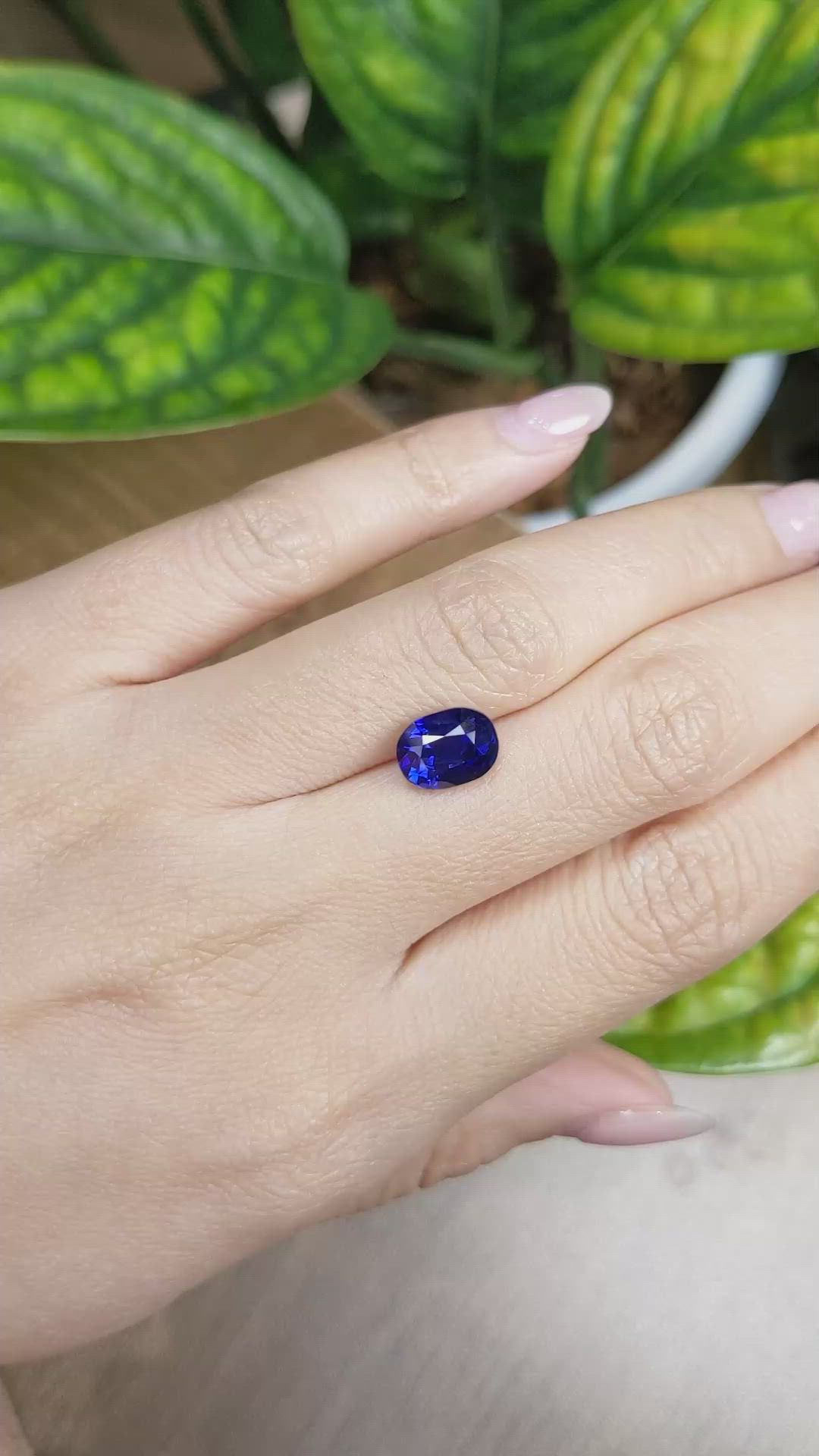 3.53 Ct. Blue Sapphire from Ceylon (Sri Lanka) Size Video
