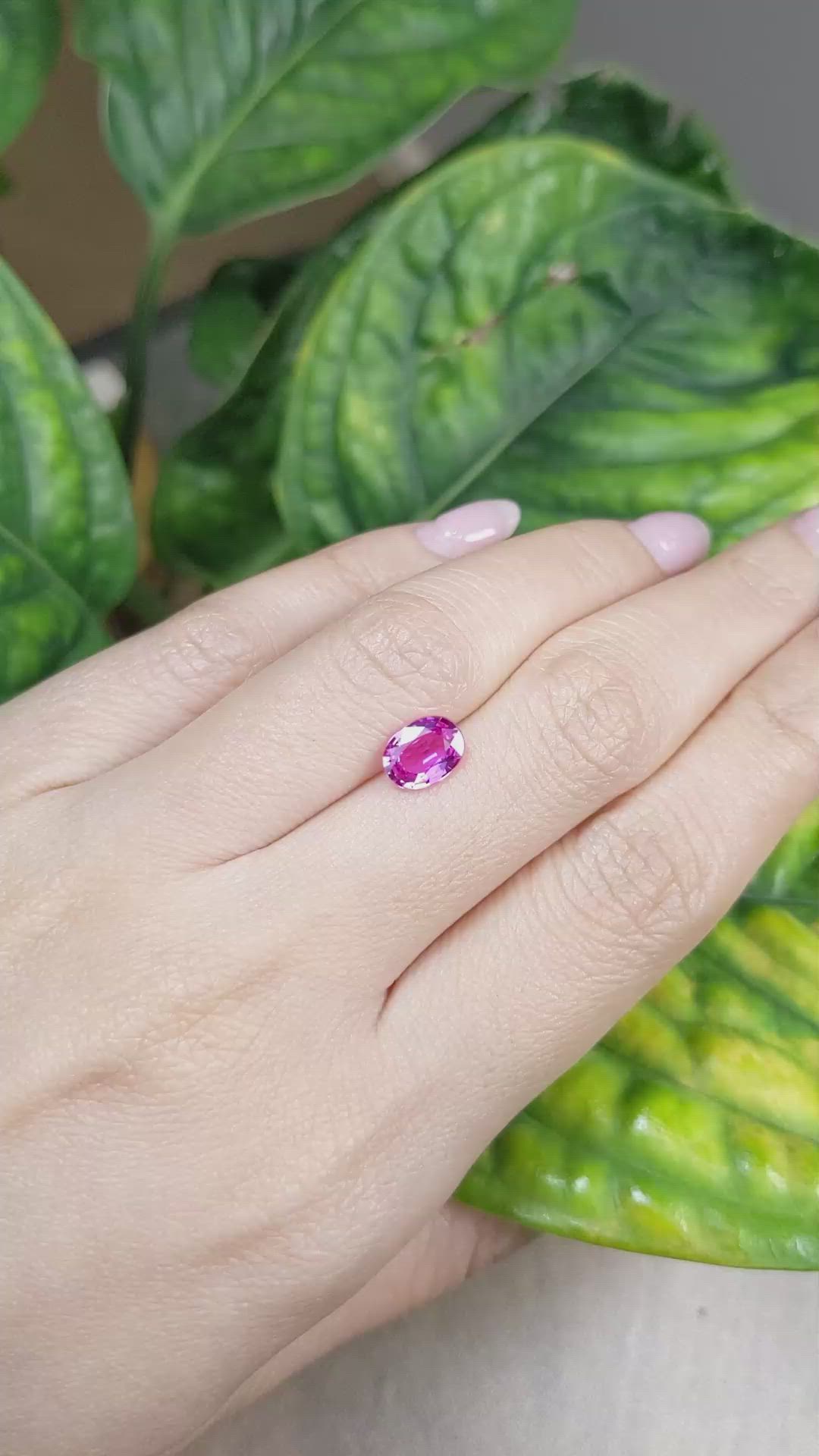 1.55 Ct. Pink Sapphire from Ceylon (Sri Lanka) Size Video