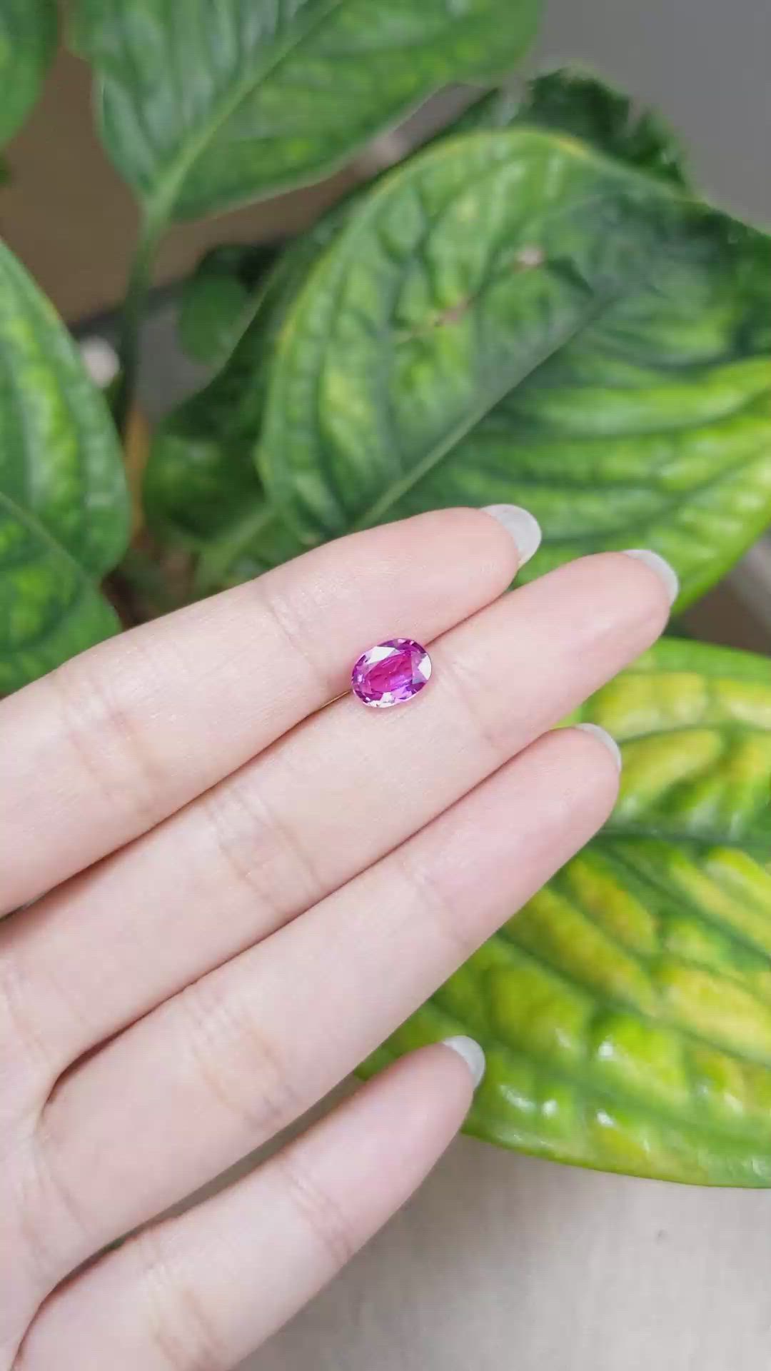 1.55 Ct. Pink Sapphire from Ceylon (Sri Lanka) Size Video