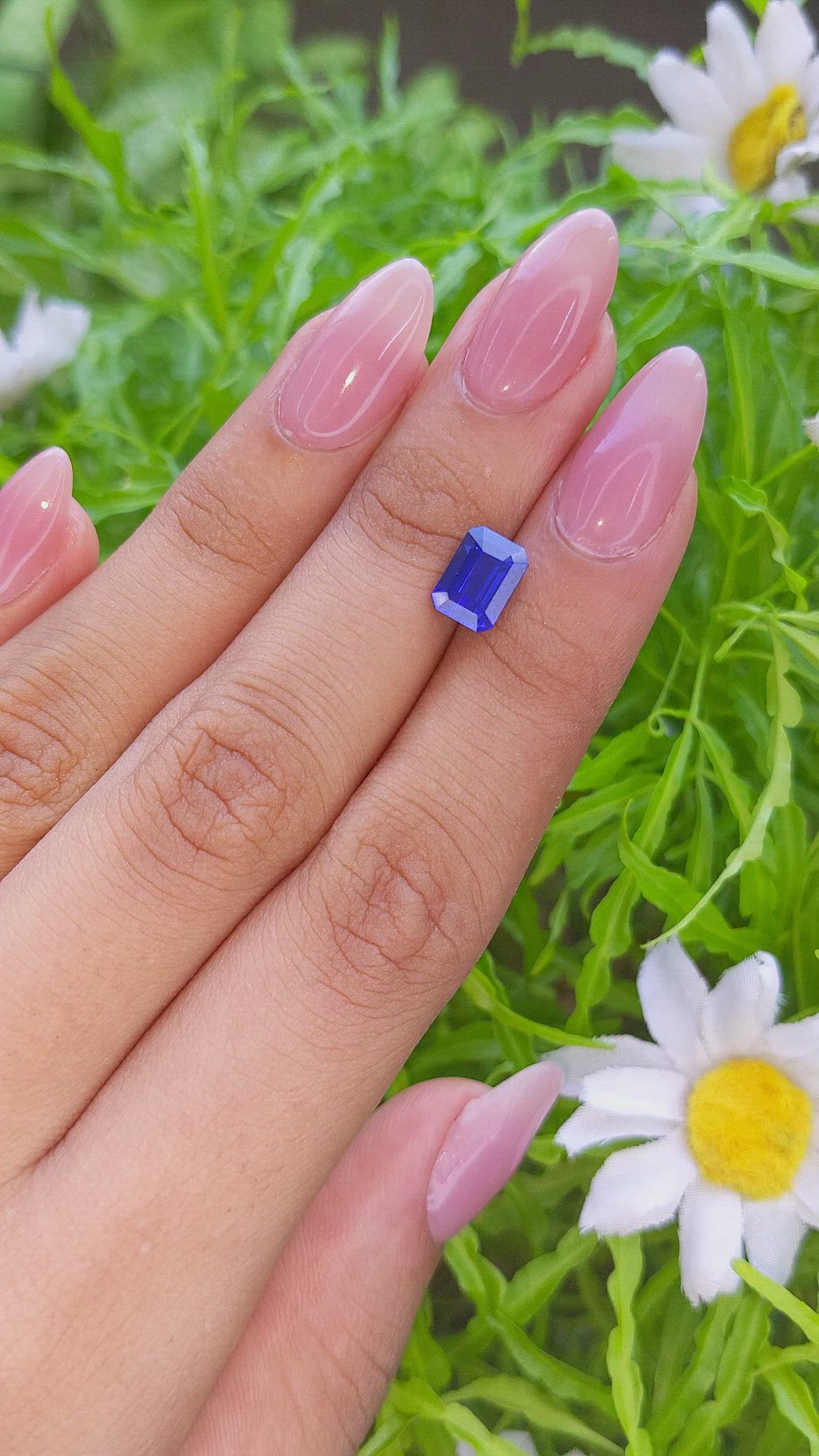 2.65 Ct. Blue Sapphire from Ceylon (Sri Lanka) Size Video