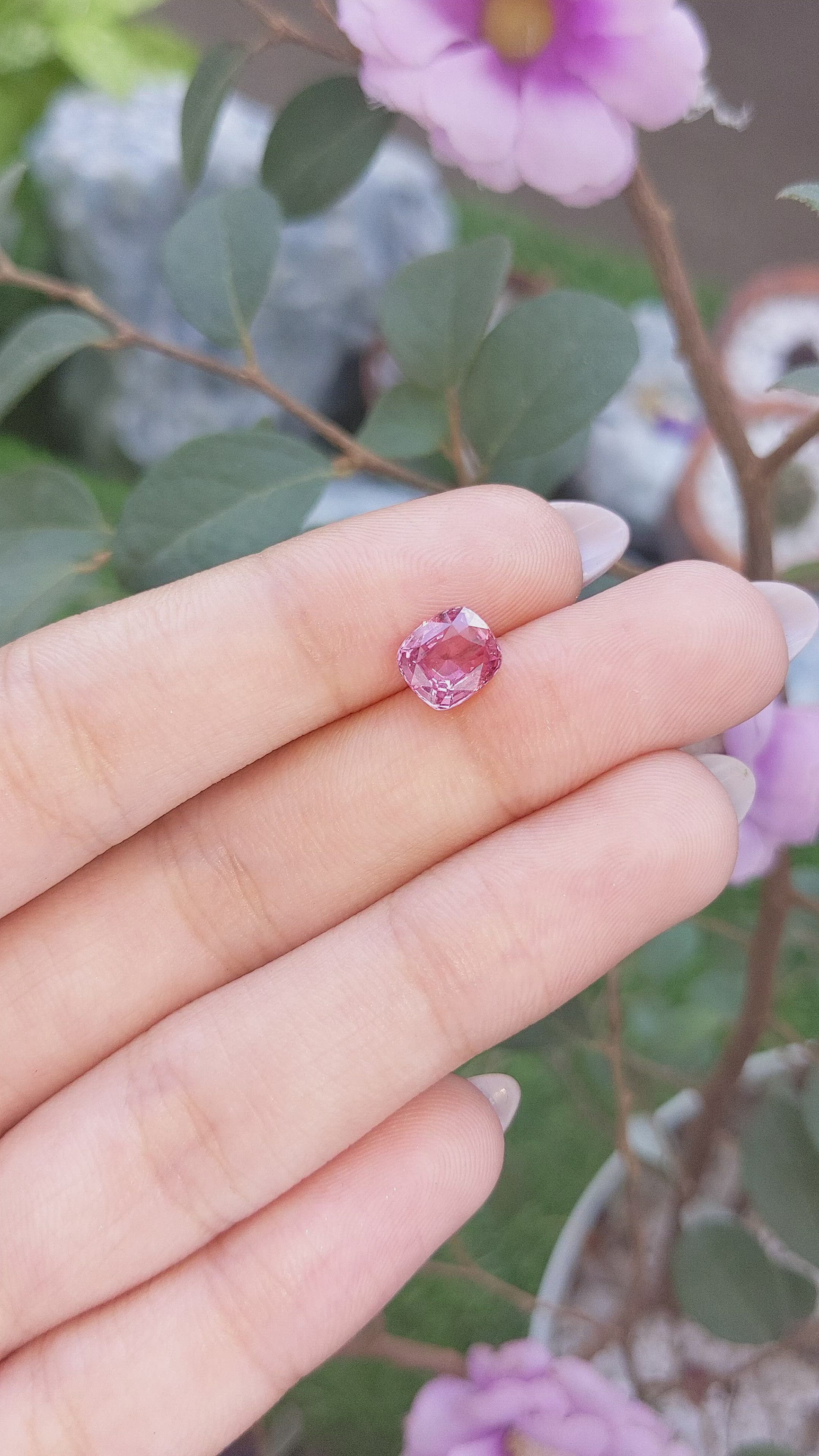 2.19 Ct. Purplish Pink Sapphire from Madagascar Size Video