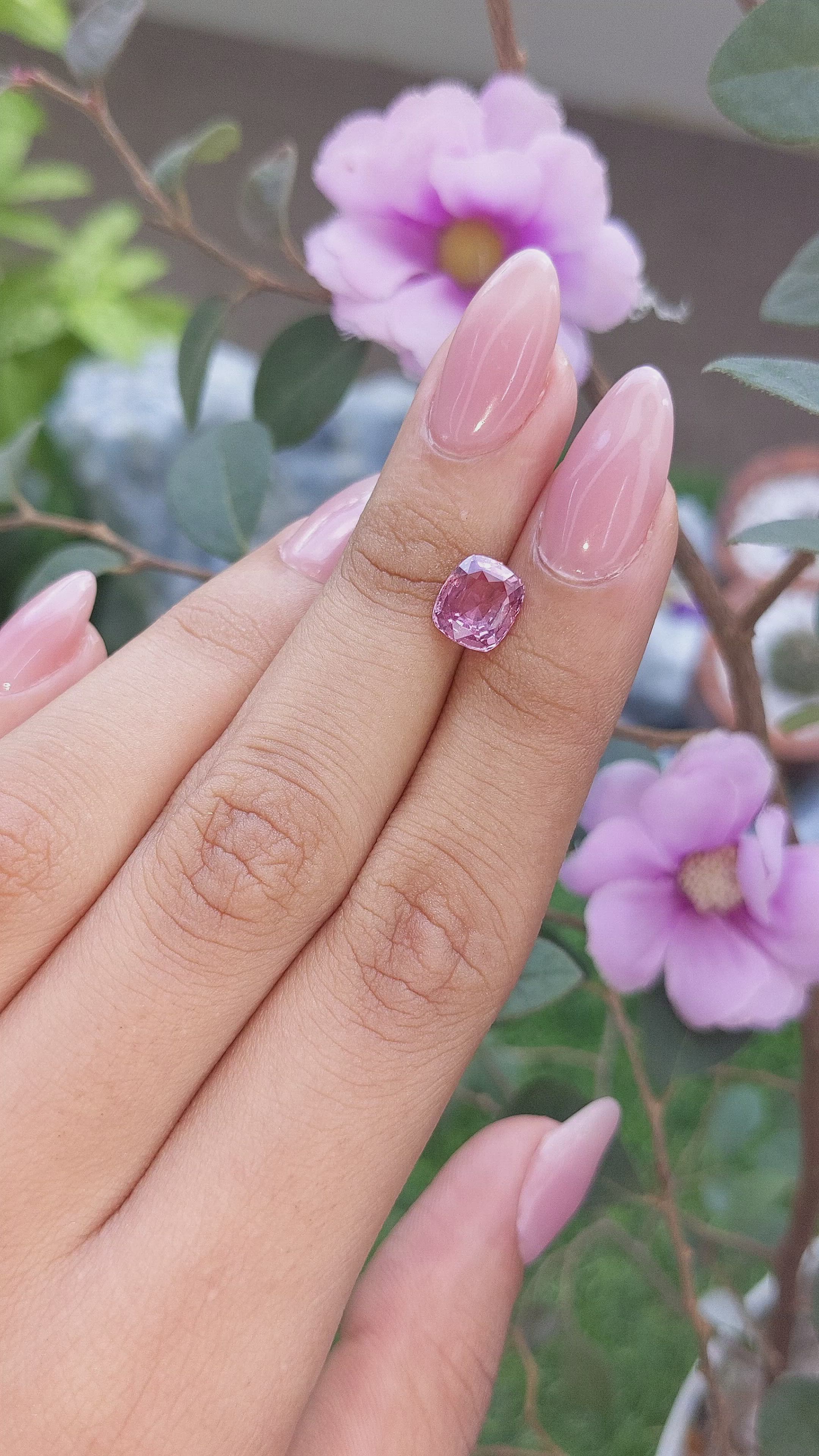 2.19 Ct. Purplish Pink Sapphire from Madagascar Size Video