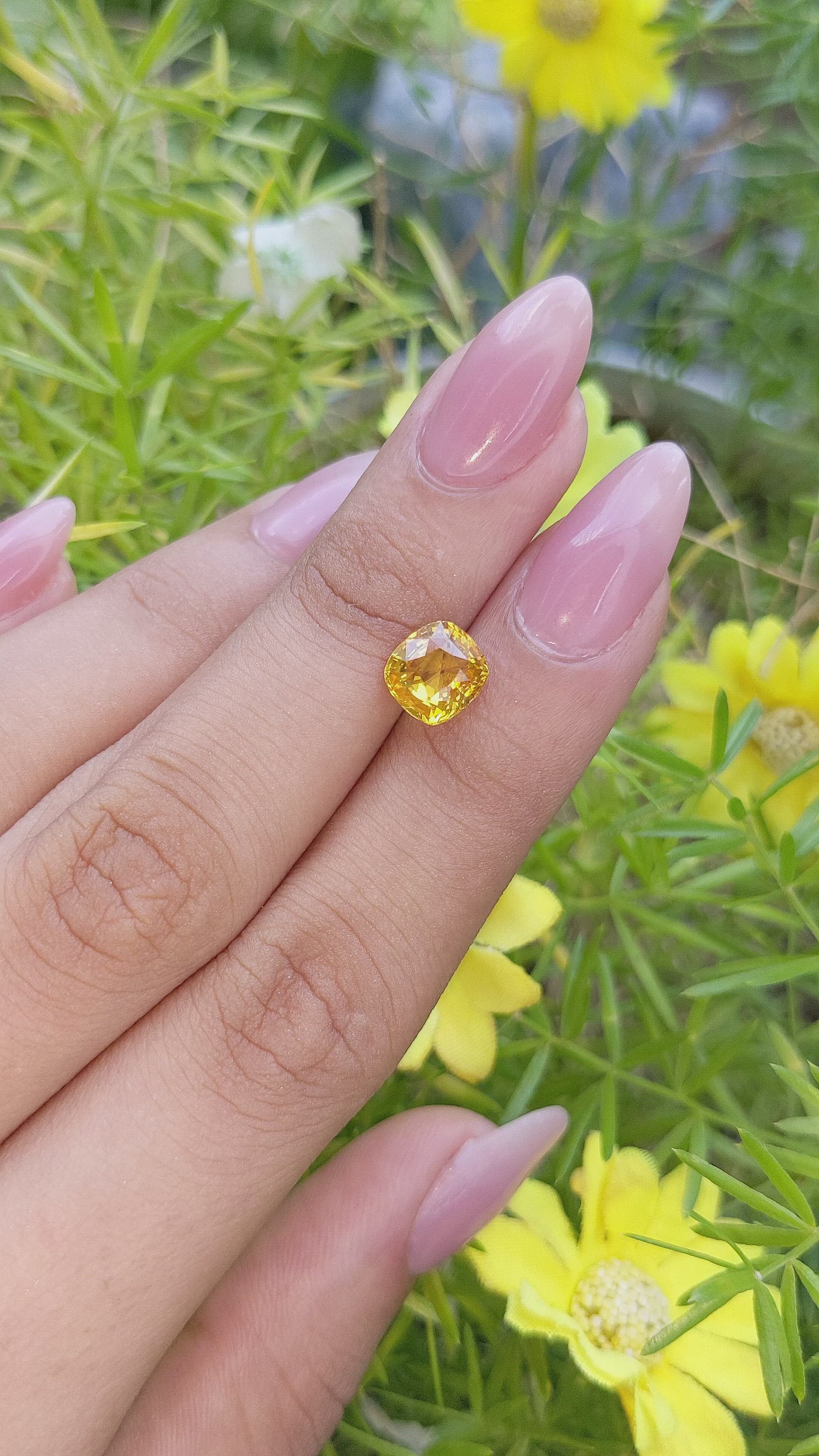 2.60 Ct. Orangish Yellow Sapphire from Ceylon (Sri Lanka) Size Video