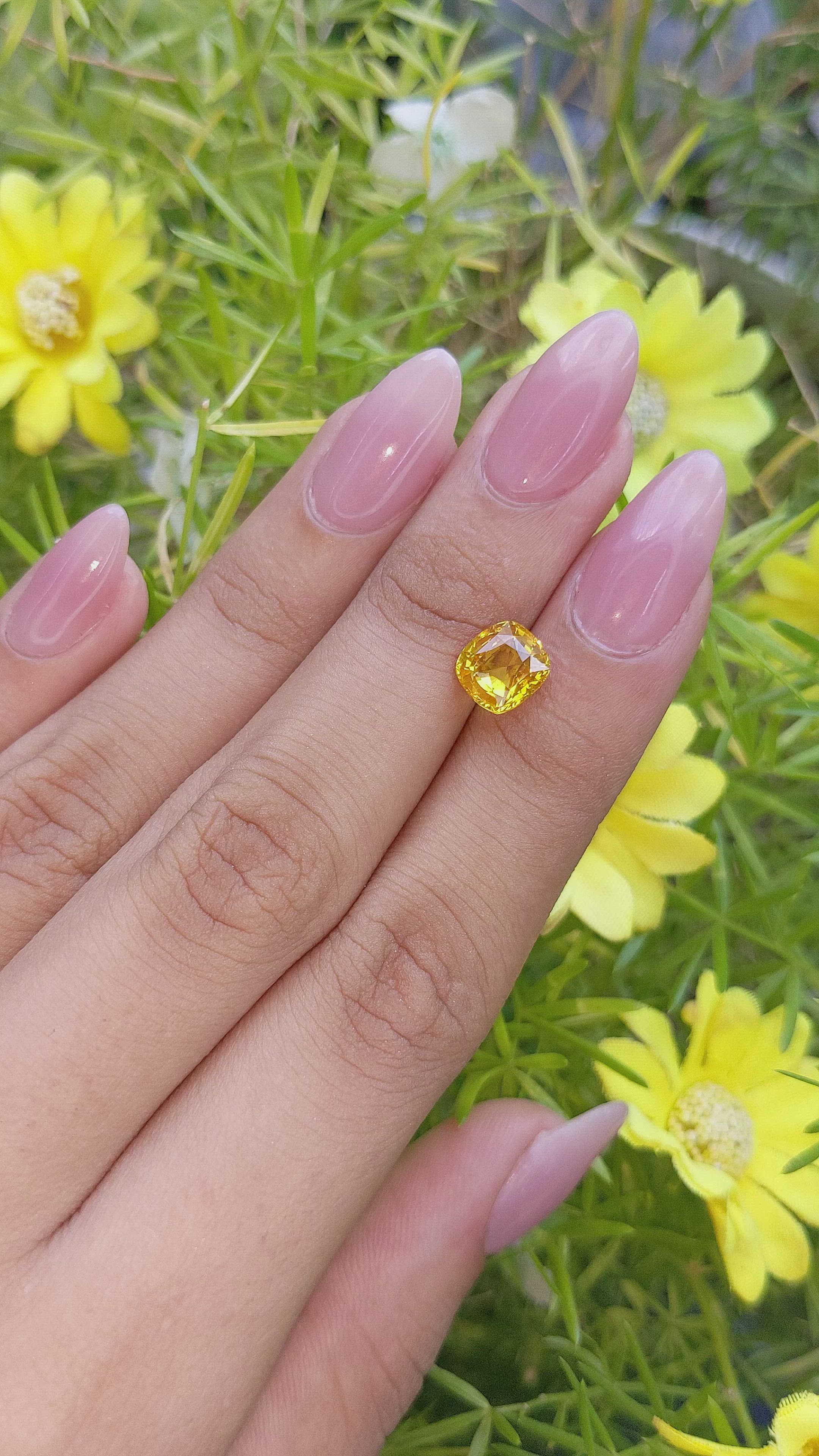 2.60 Ct. Orangish Yellow Sapphire from Ceylon (Sri Lanka) Size Video