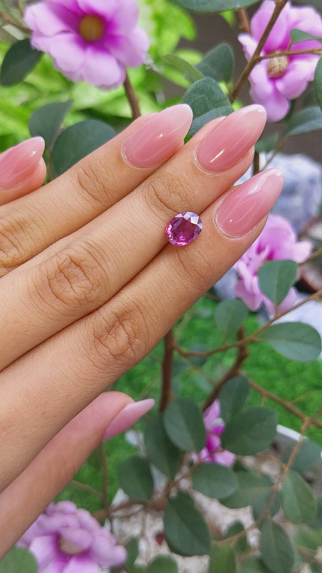 2.17 Ct. Purplish Pink Sapphire from Ceylon (Sri Lanka) Size Video