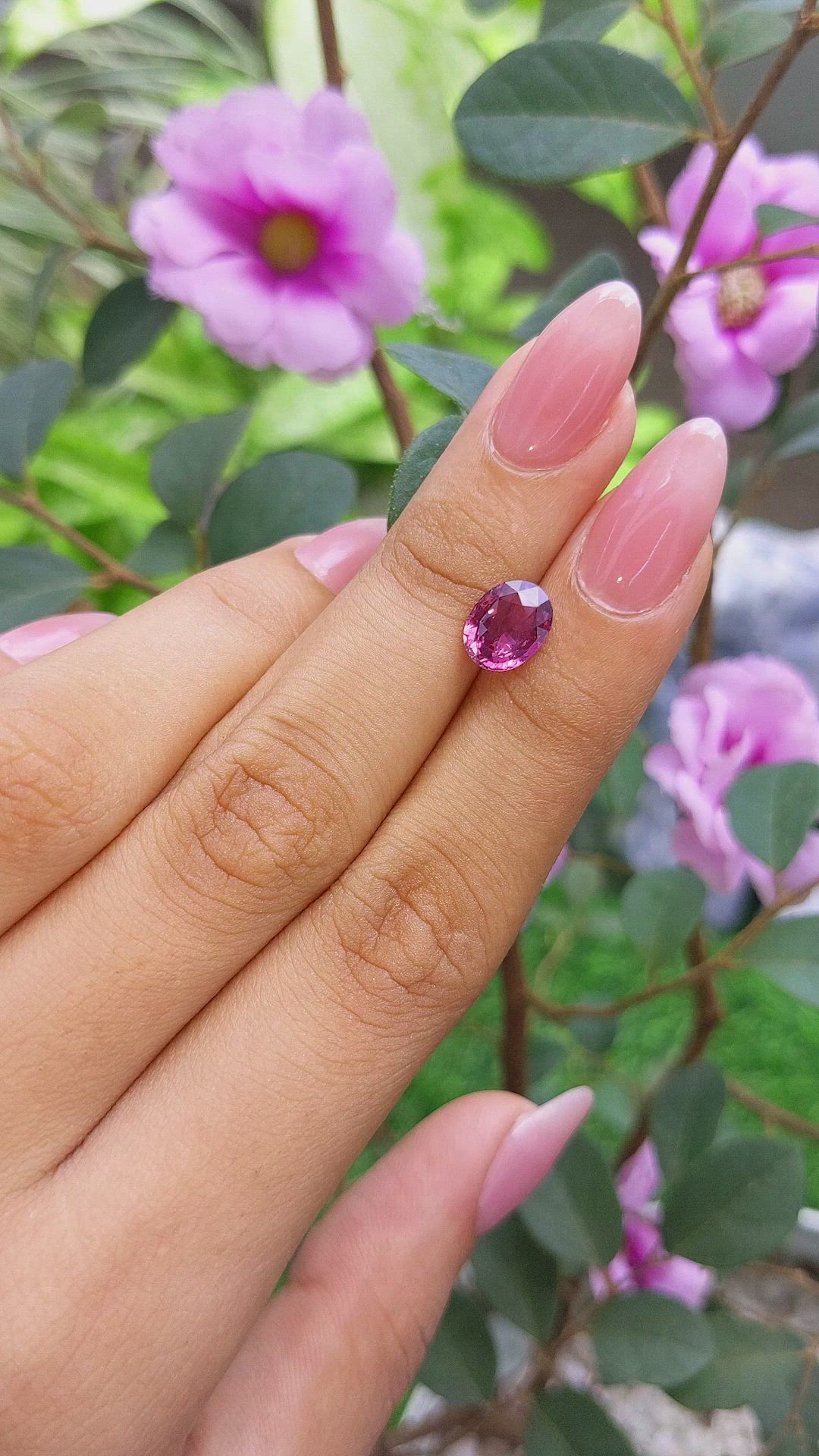 2.17 Ct. Purplish Pink Sapphire from Ceylon (Sri Lanka) Size Video