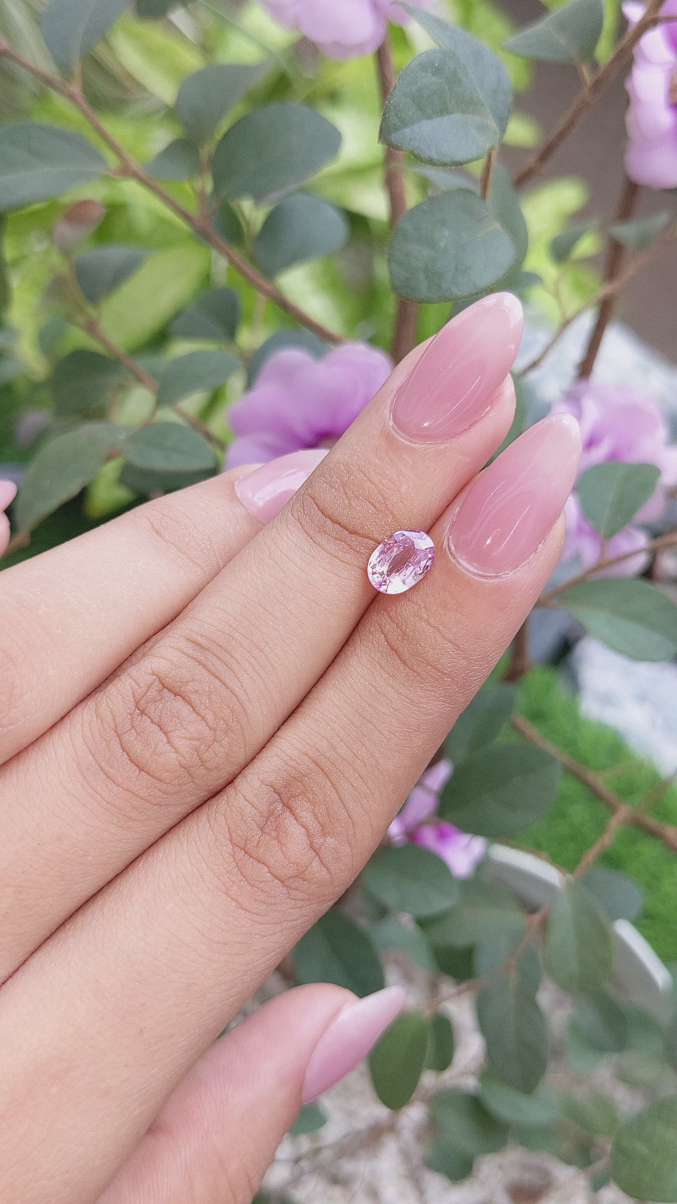 1.39 Ct. Pink Sapphire from Ceylon (Sri Lanka) Size Video
