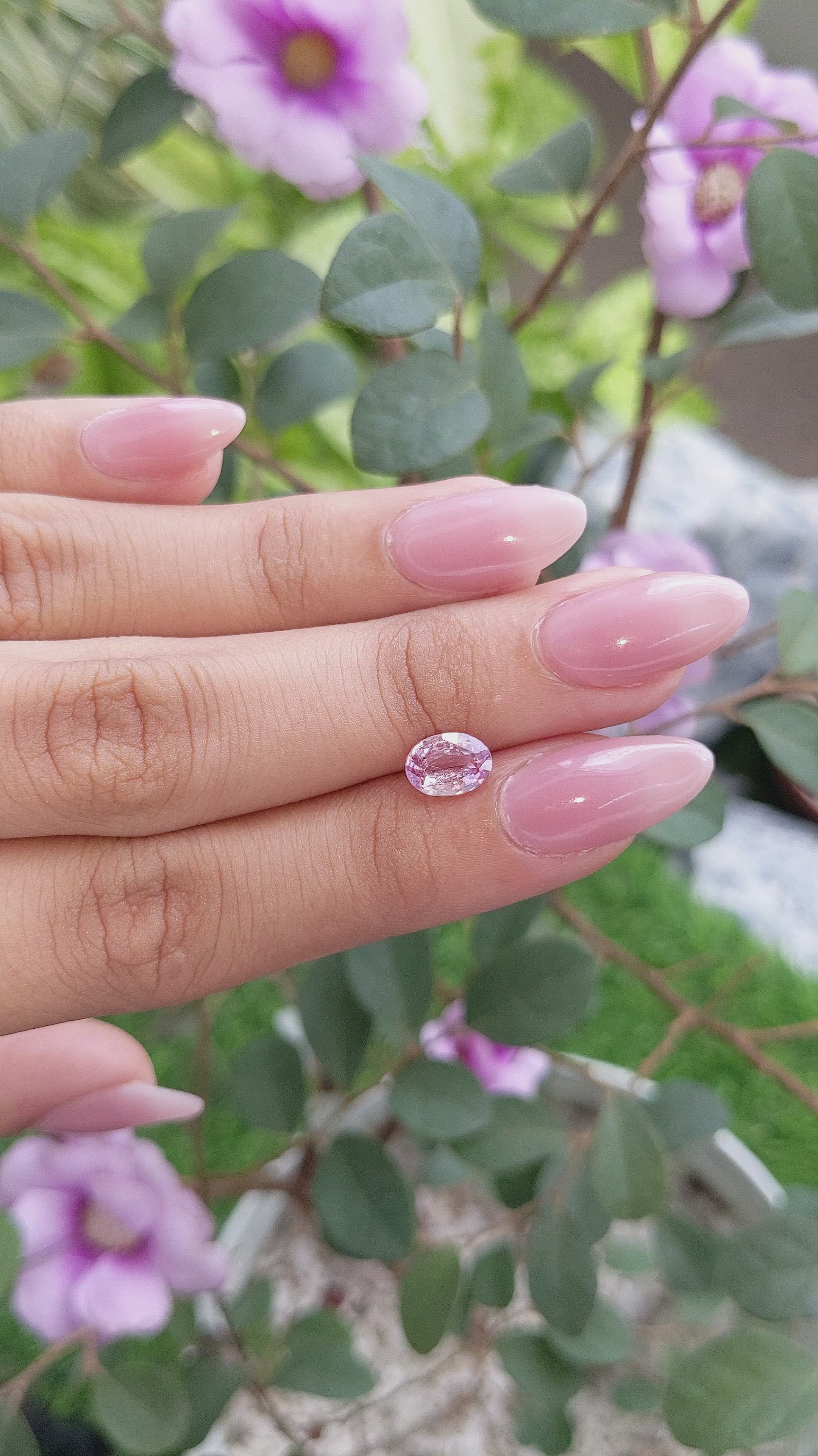 1.39 Ct. Pink Sapphire from Ceylon (Sri Lanka) Size Video