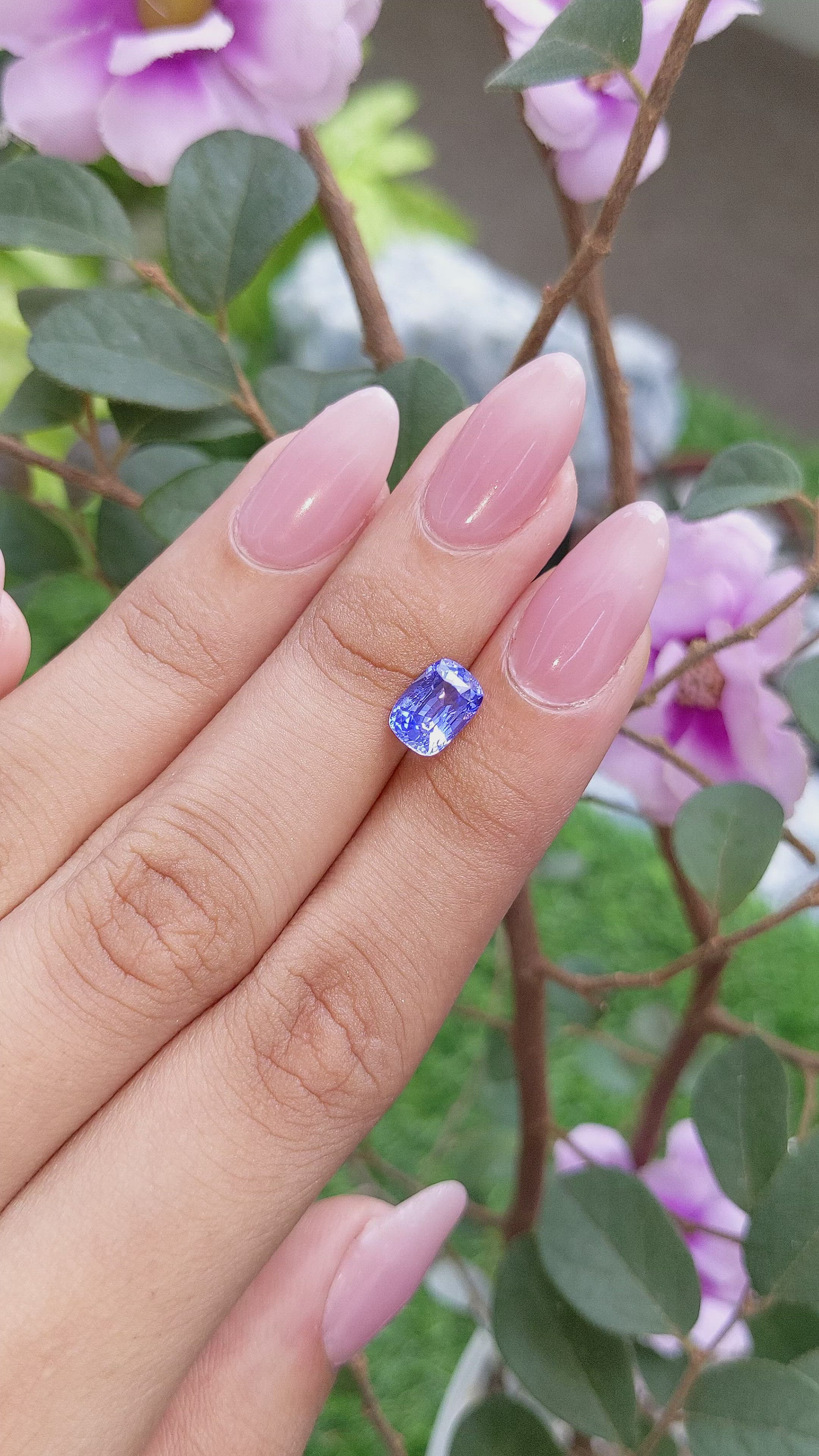 2.00 Ct. Blue Sapphire from Ceylon (Sri Lanka) Size Video