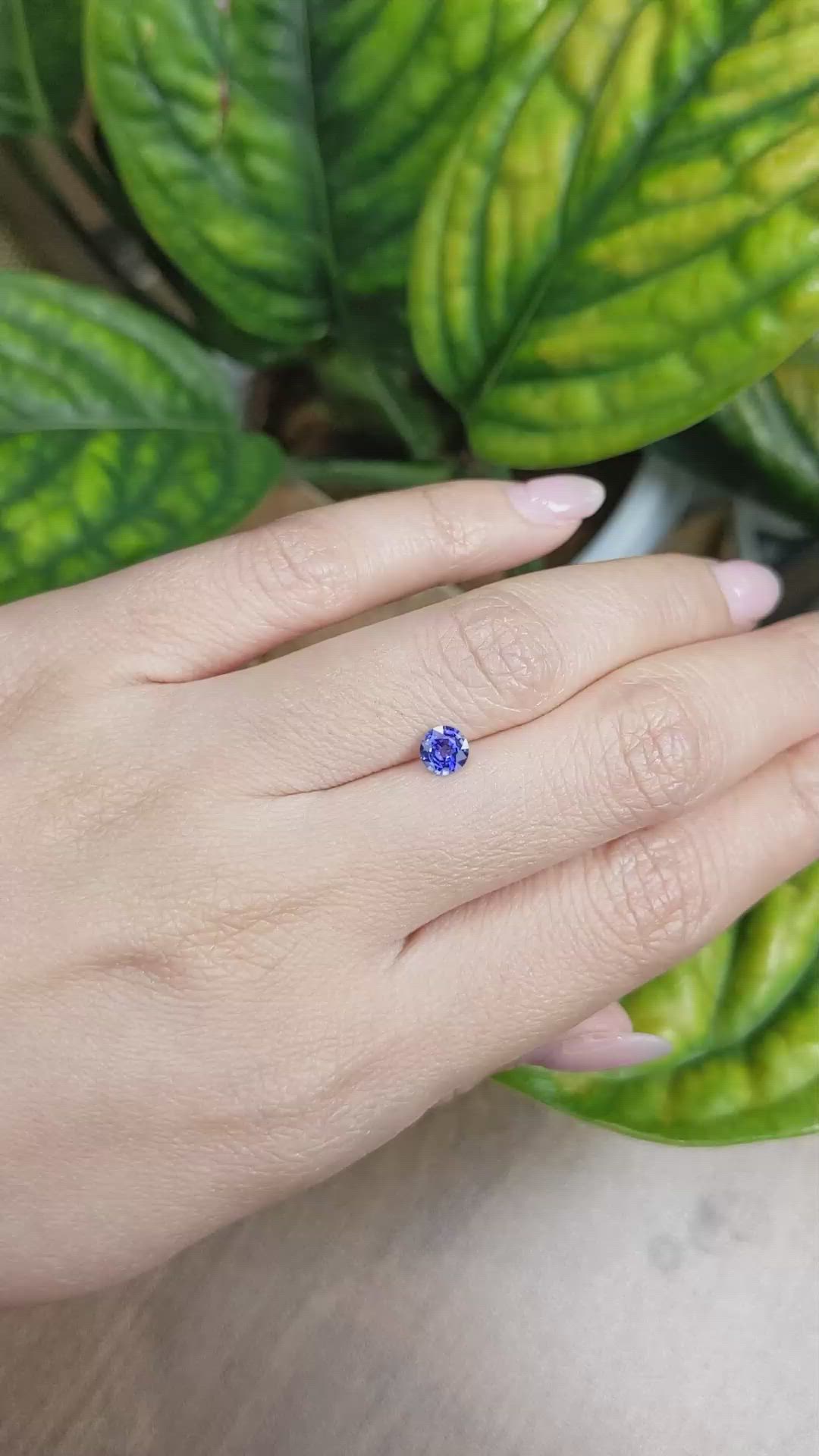 0.50 Ct. Blue Sapphire from Ceylon (Sri Lanka) Size Video