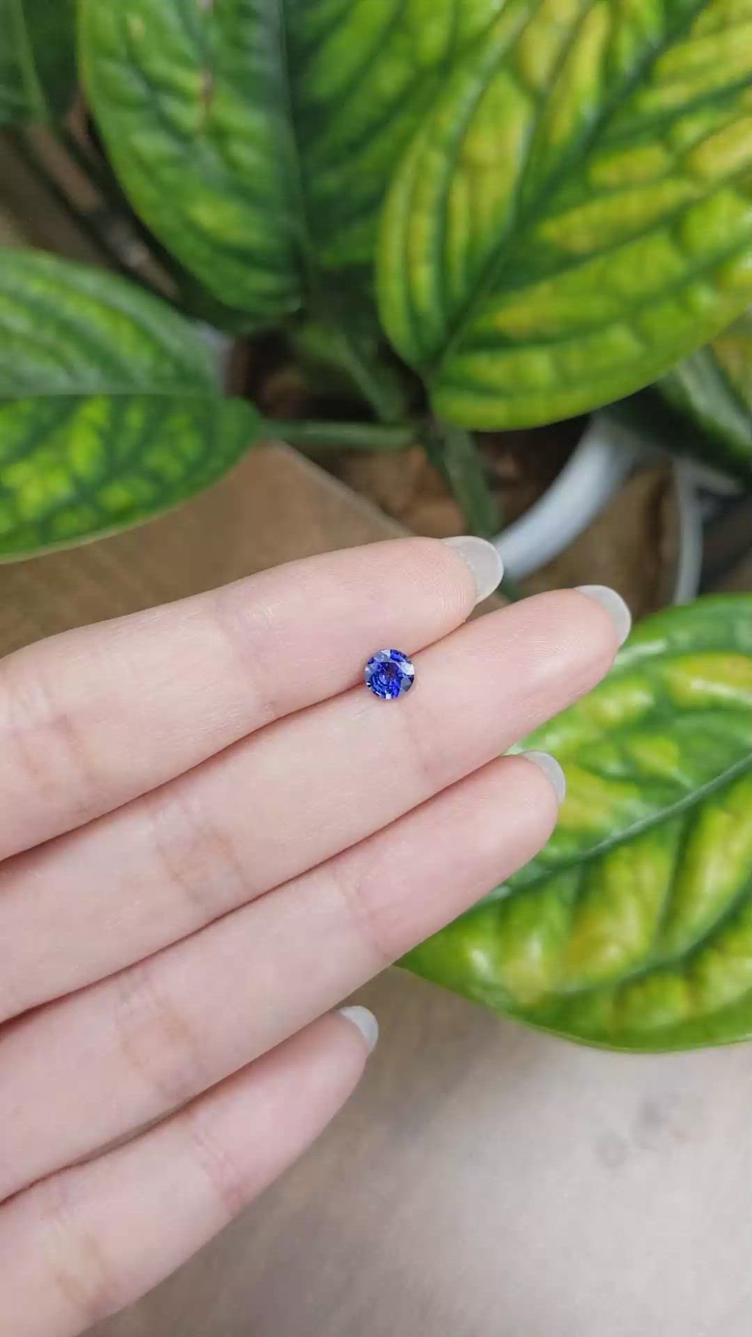 0.50 Ct. Blue Sapphire from Ceylon (Sri Lanka) Size Video