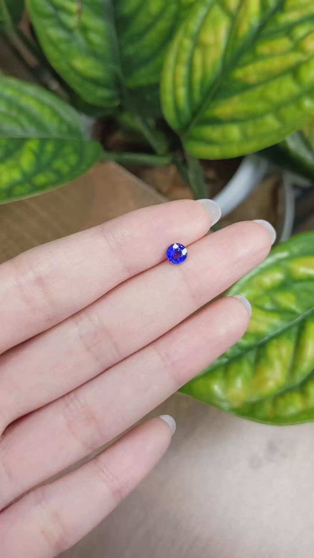 0.60 Ct. Blue Sapphire from Ceylon (Sri Lanka) Size Video