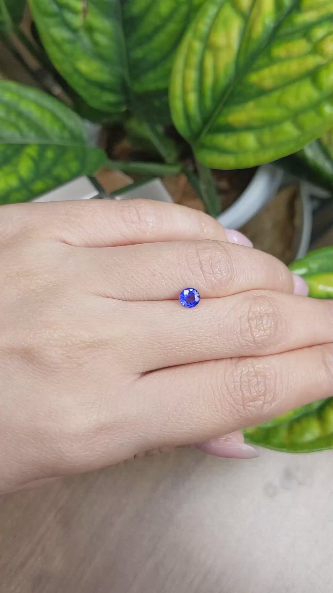 0.60 Ct. Blue Sapphire from Ceylon (Sri Lanka) Size Video