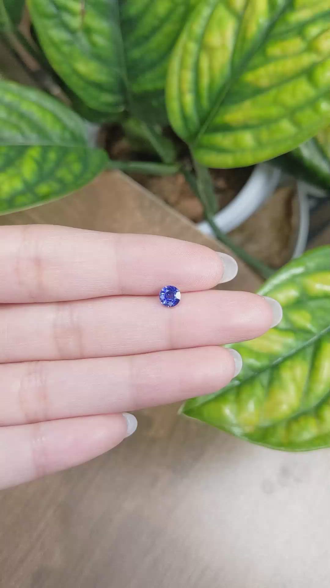 0.69 Ct. Blue Sapphire from Ceylon (Sri Lanka) Size Video