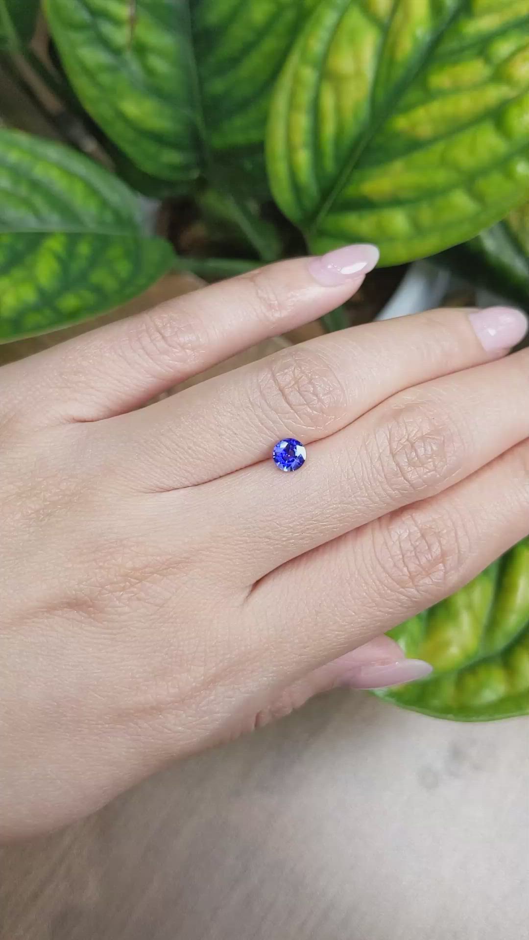 0.69 Ct. Blue Sapphire from Ceylon (Sri Lanka) Size Video