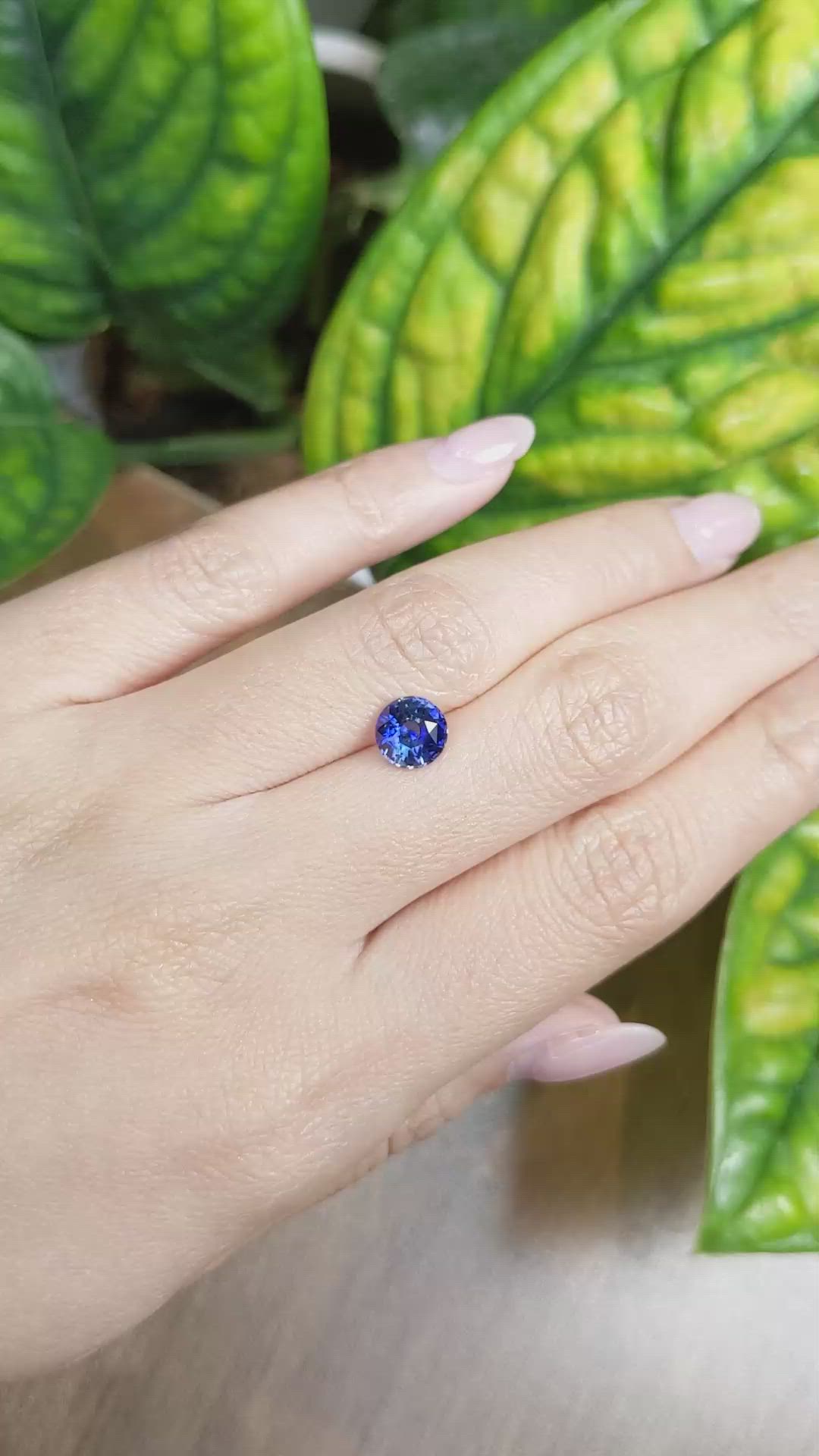 1.85 Ct. Blue Sapphire from Ceylon (Sri Lanka) Size Video