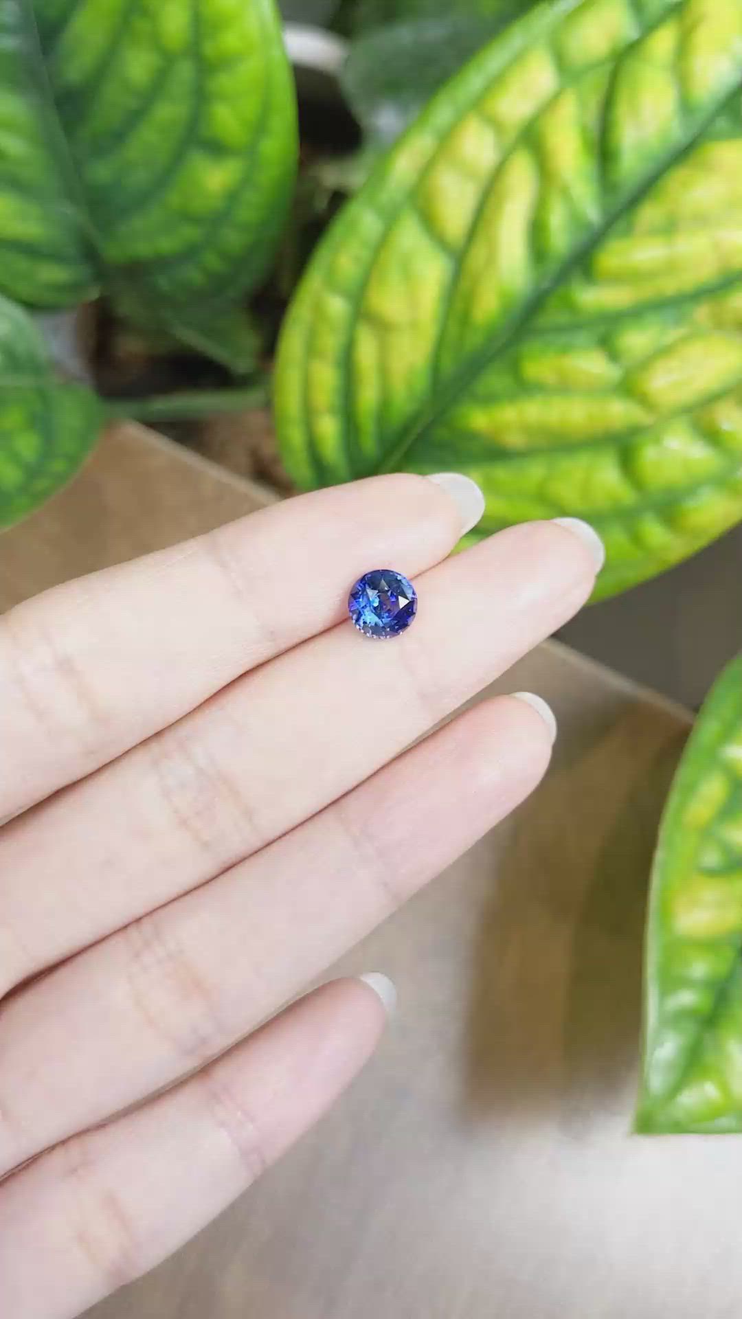 1.85 Ct. Blue Sapphire from Ceylon (Sri Lanka) Size Video