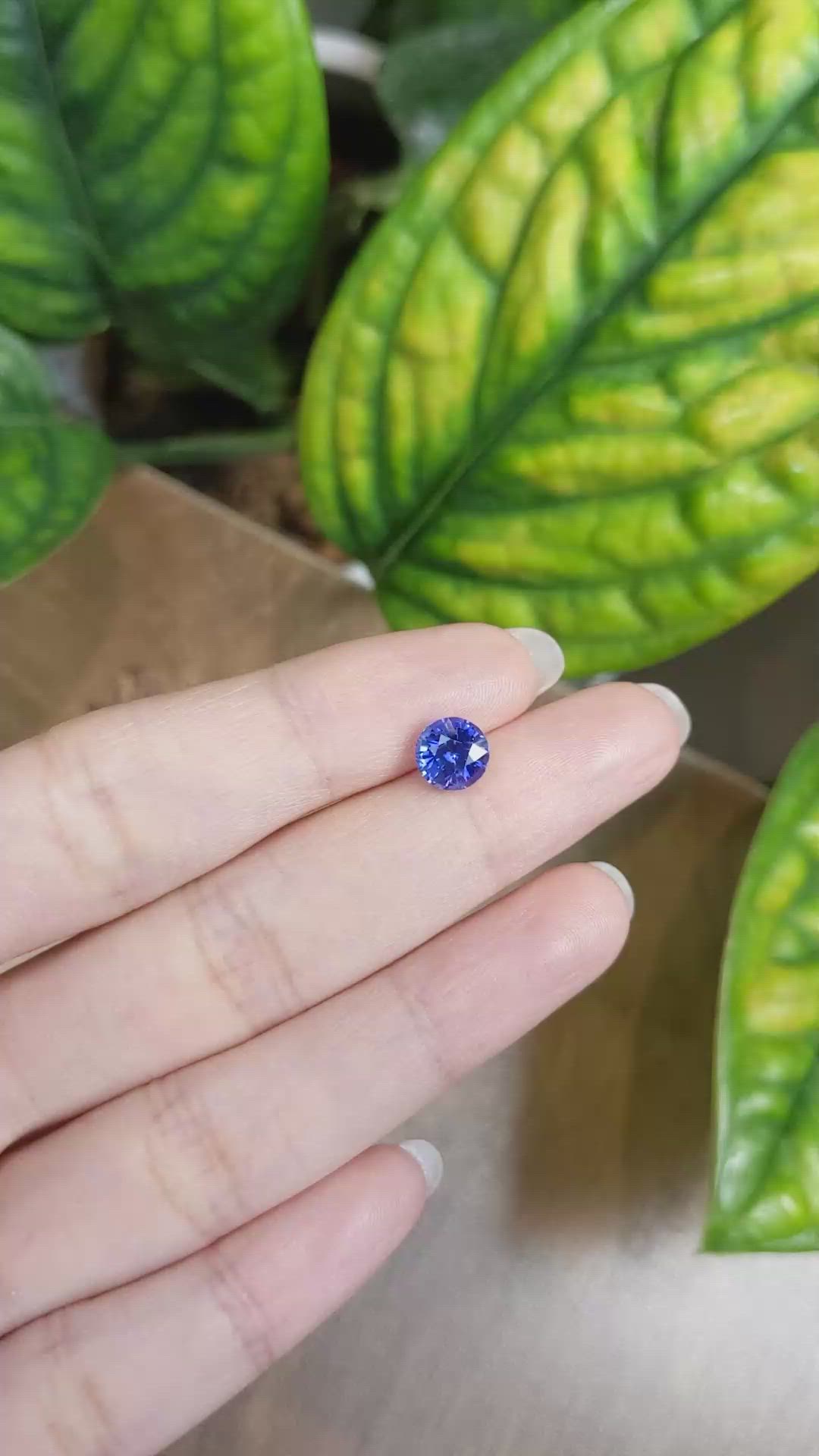 2.07 Ct. Blue Sapphire from Ceylon (Sri Lanka) Size Video