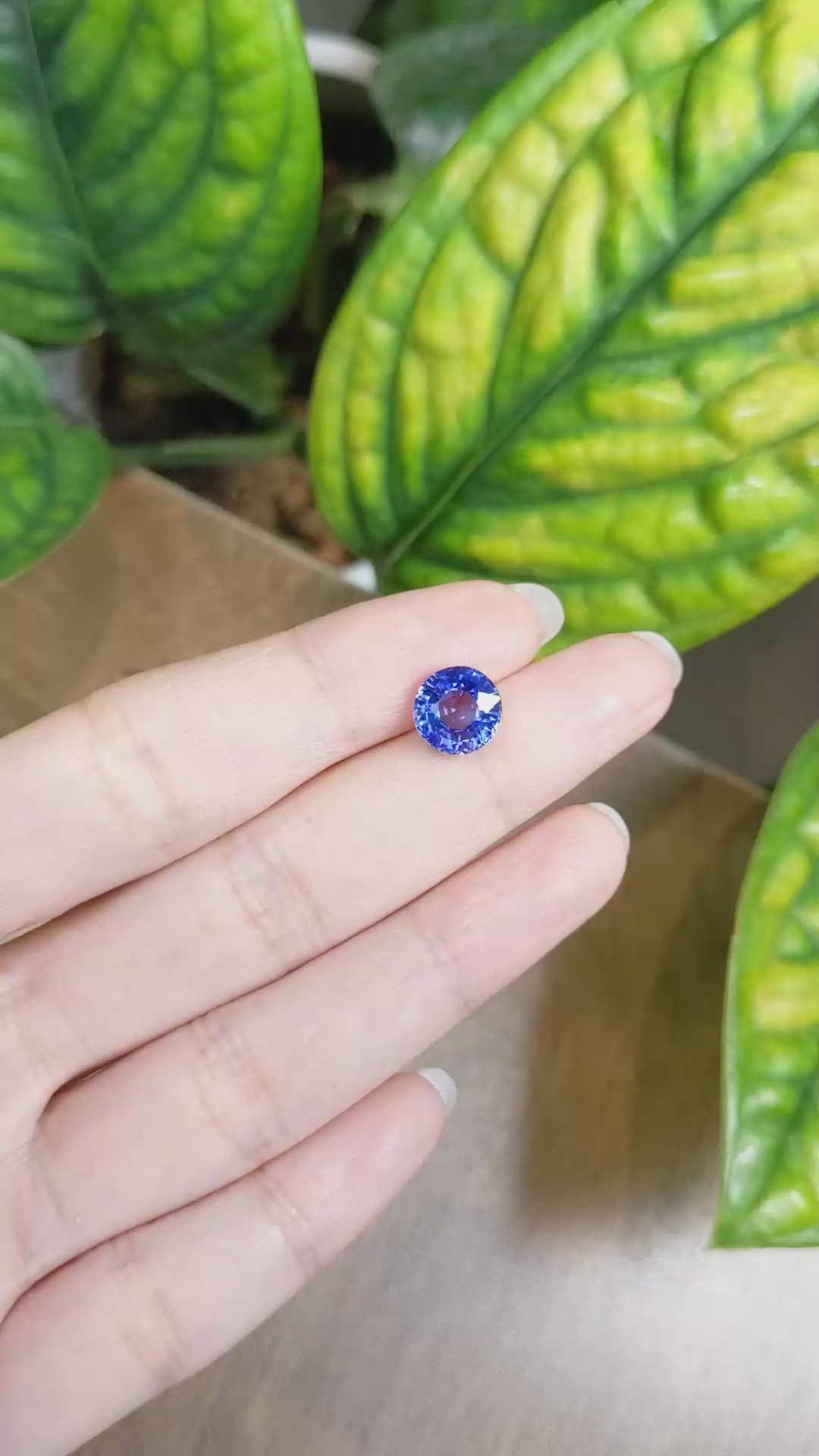 3.95 Ct. Blue Sapphire from Ceylon (Sri Lanka) Size Video