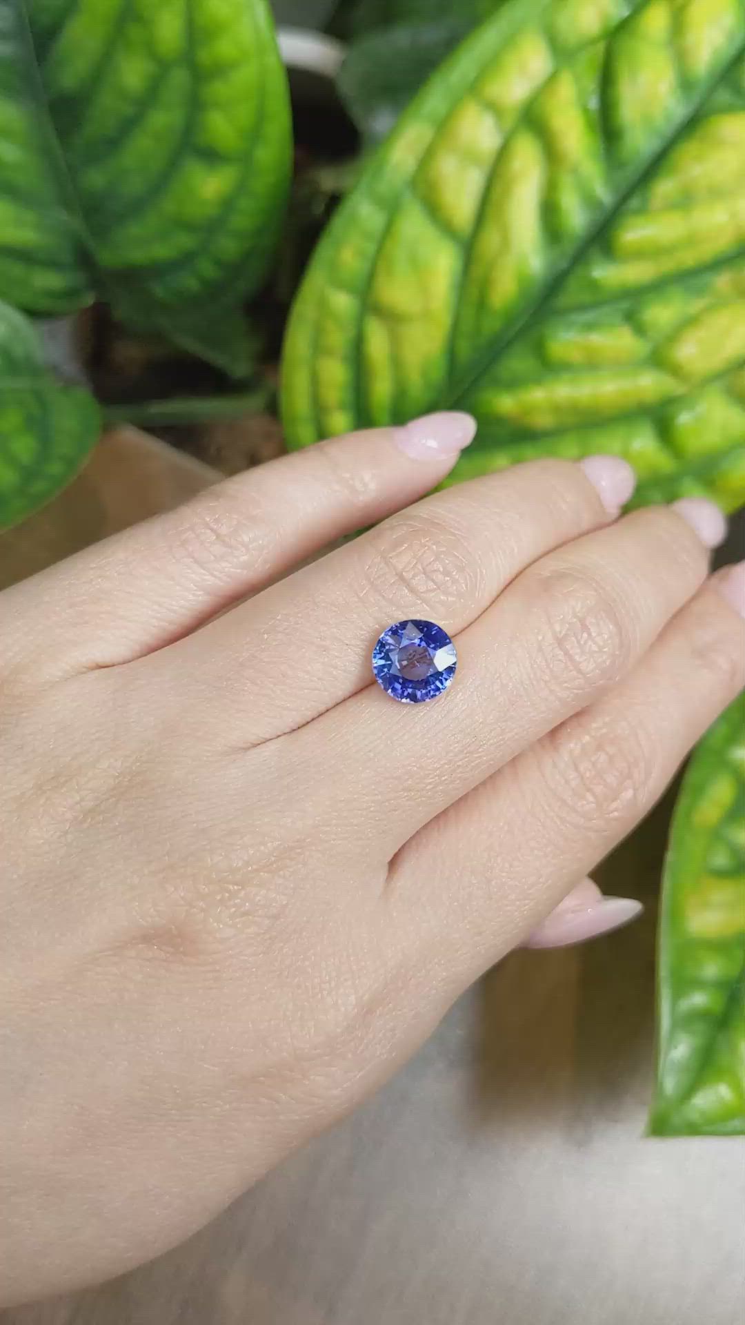 3.95 Ct. Blue Sapphire from Ceylon (Sri Lanka) Size Video