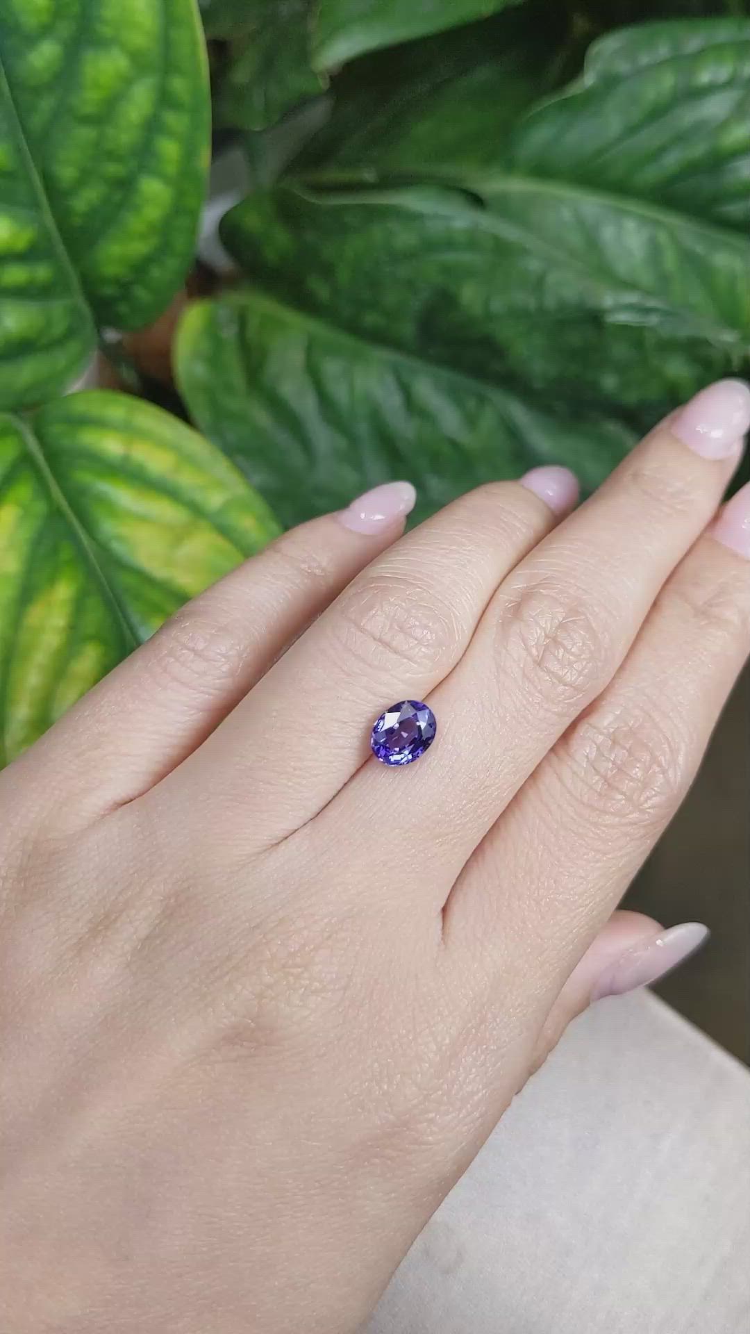 2.19 Ct. Purple Sapphire from Ceylon (Sri Lanka) Size Video