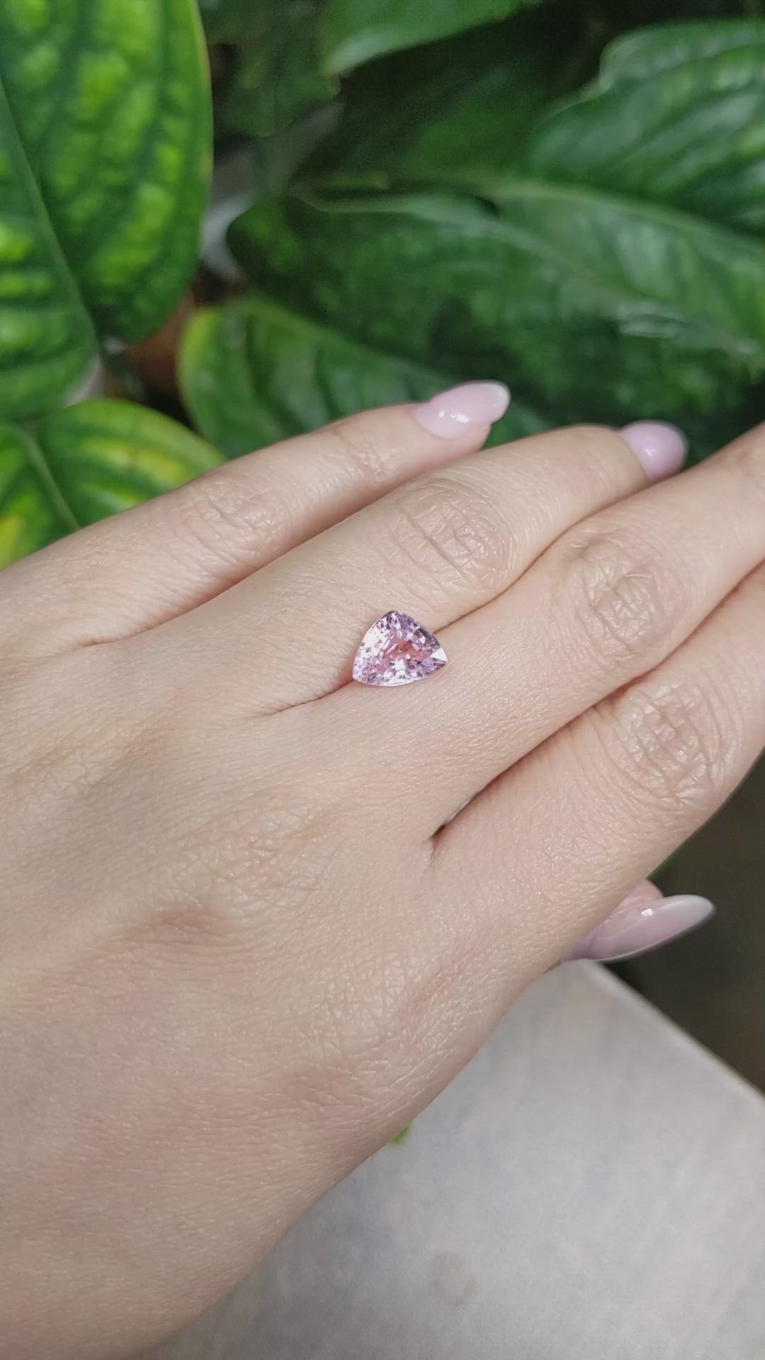 2.17 Ct. Pink Sapphire from Ceylon (Sri Lanka) Size Video