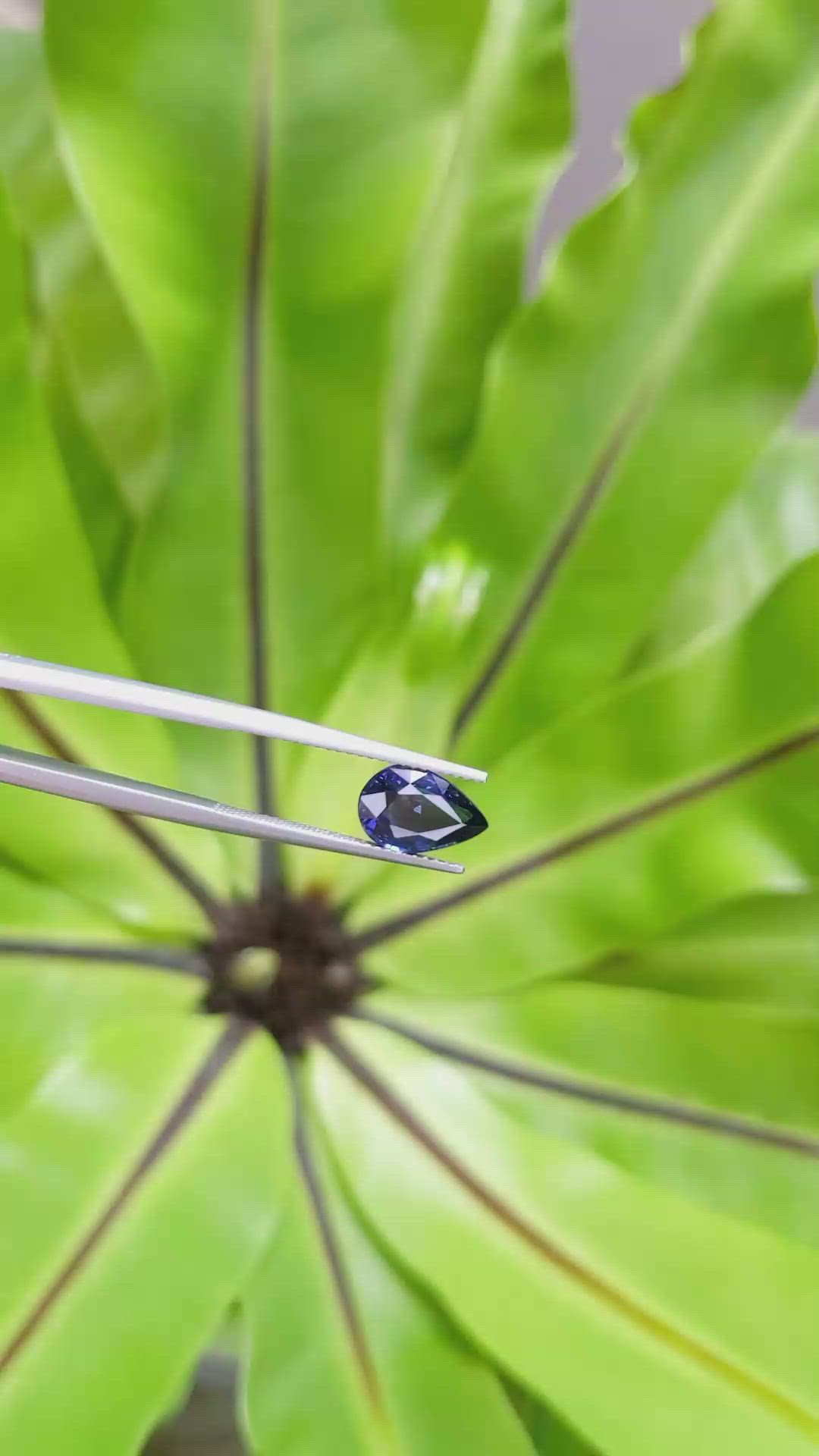 2.92 Ct. Blue Sapphire from Ceylon (Sri Lanka) Size Video