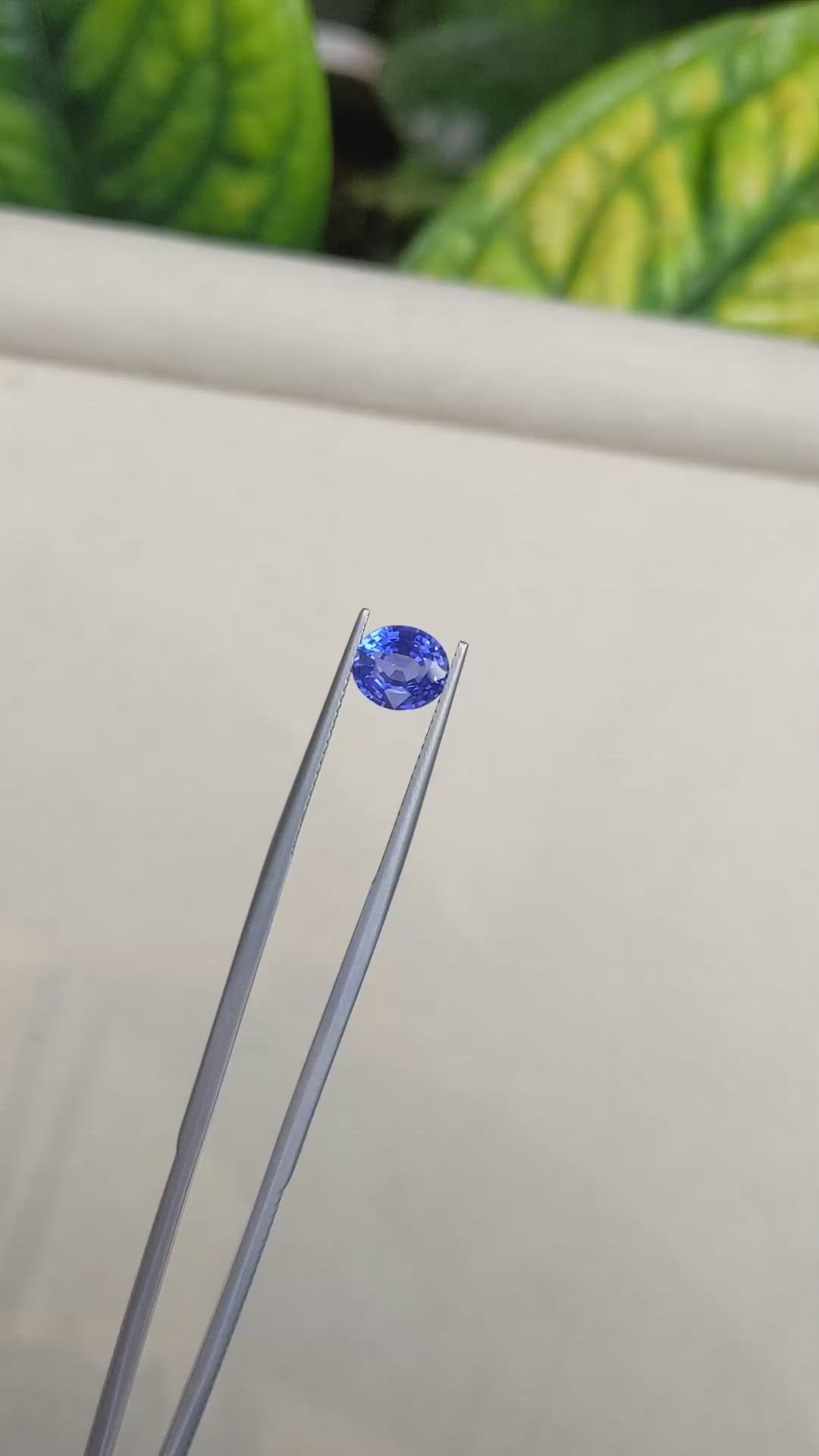 1.72 Ct. Blue Sapphire from Ceylon (Sri Lanka) Size Video