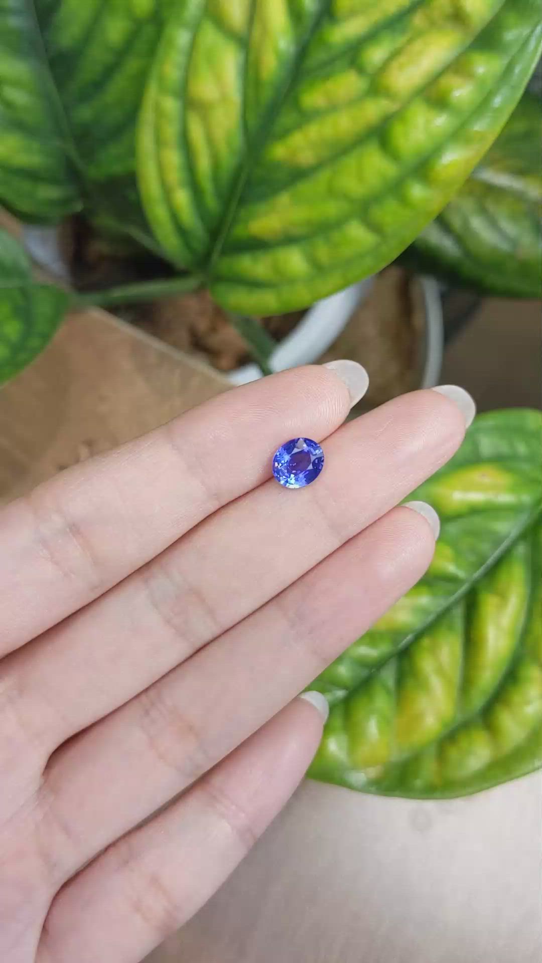 1.72 Ct. Blue Sapphire from Ceylon (Sri Lanka) Size Video