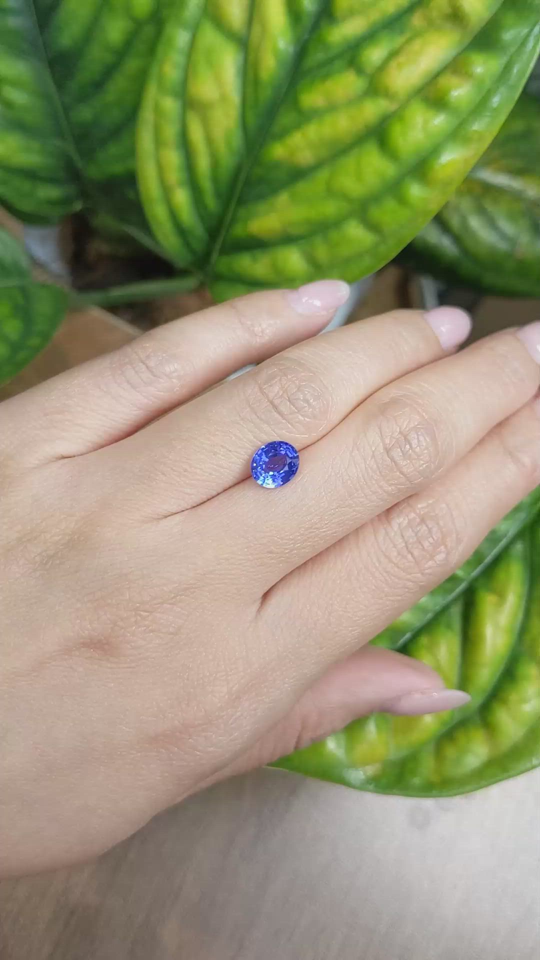 1.72 Ct. Blue Sapphire from Ceylon (Sri Lanka) Size Video