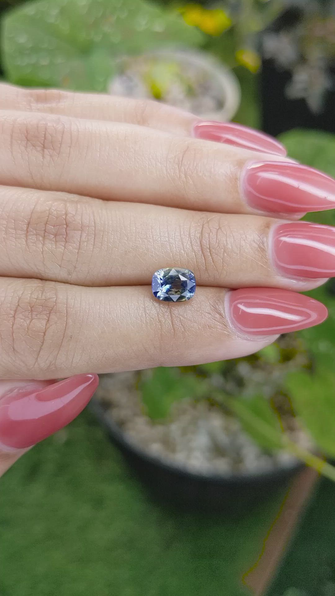 1.78 Ct. Bi Color Sapphire from Ceylon (Sri Lanka) Size Video